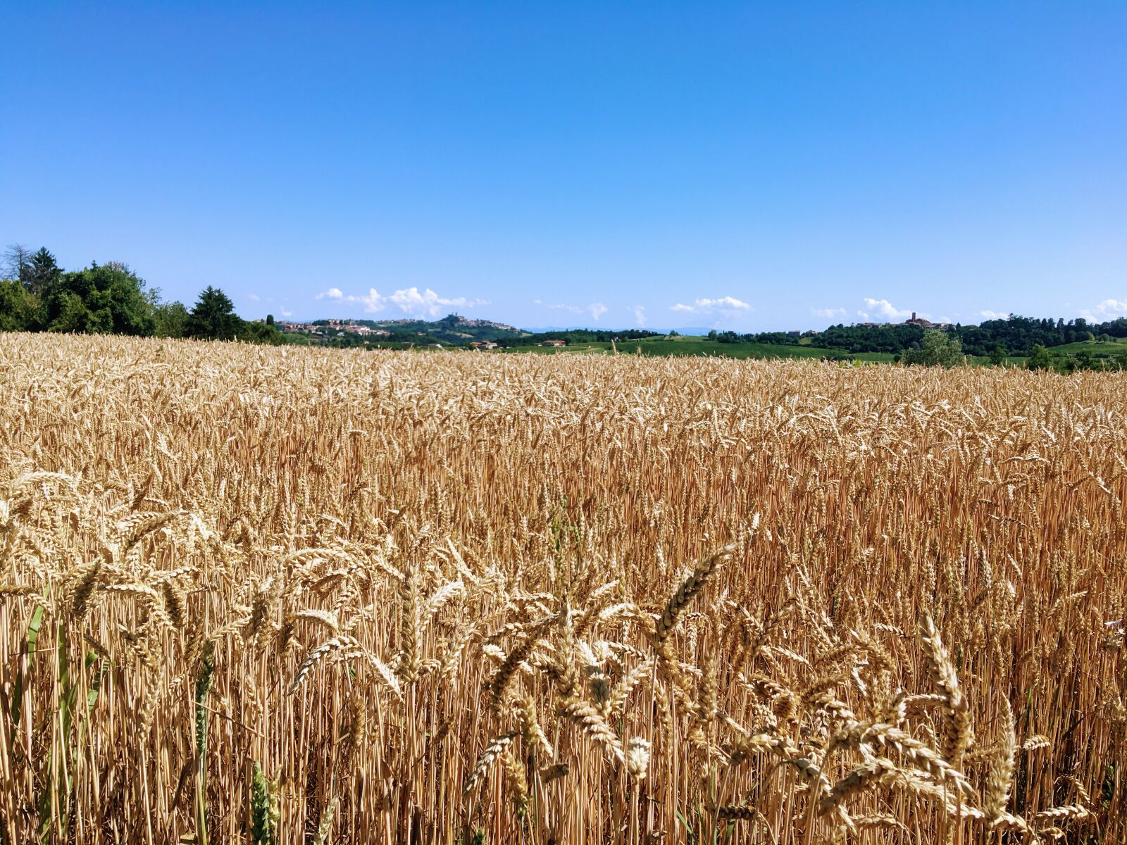 Apple iPhone SE (1st generation) sample photo. Ottiglio, monferrato, moleto photography