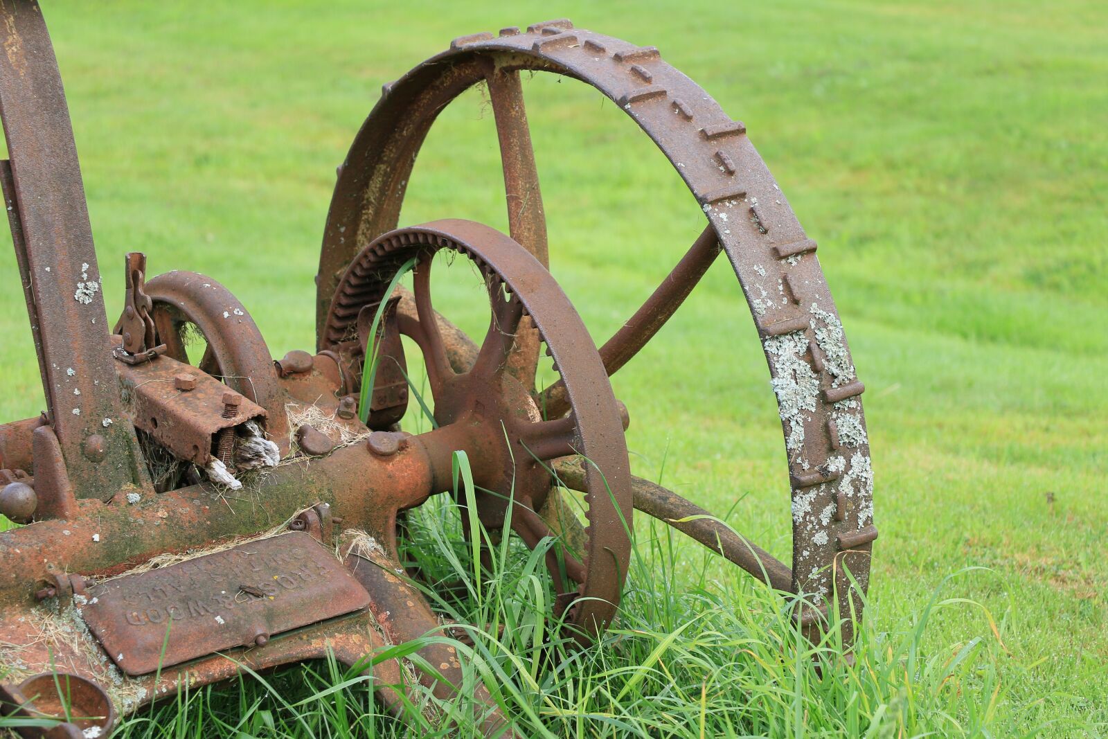 Canon EOS 7D Mark II sample photo. Grass, farm, wheel photography