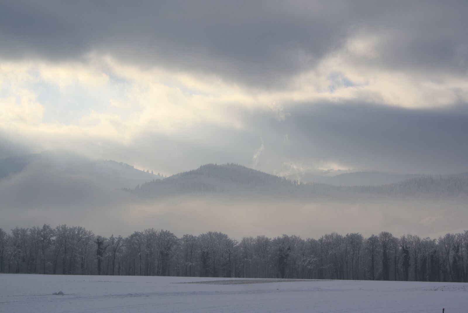 Canon EOS 1000D (EOS Digital Rebel XS / EOS Kiss F) sample photo. Snow, nature, winter photography