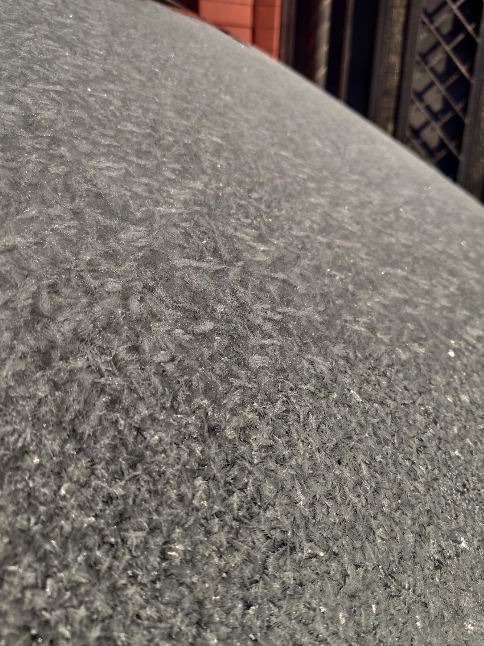 Xiaomi MI 9 sample photo. Winter, freezing, cold photography