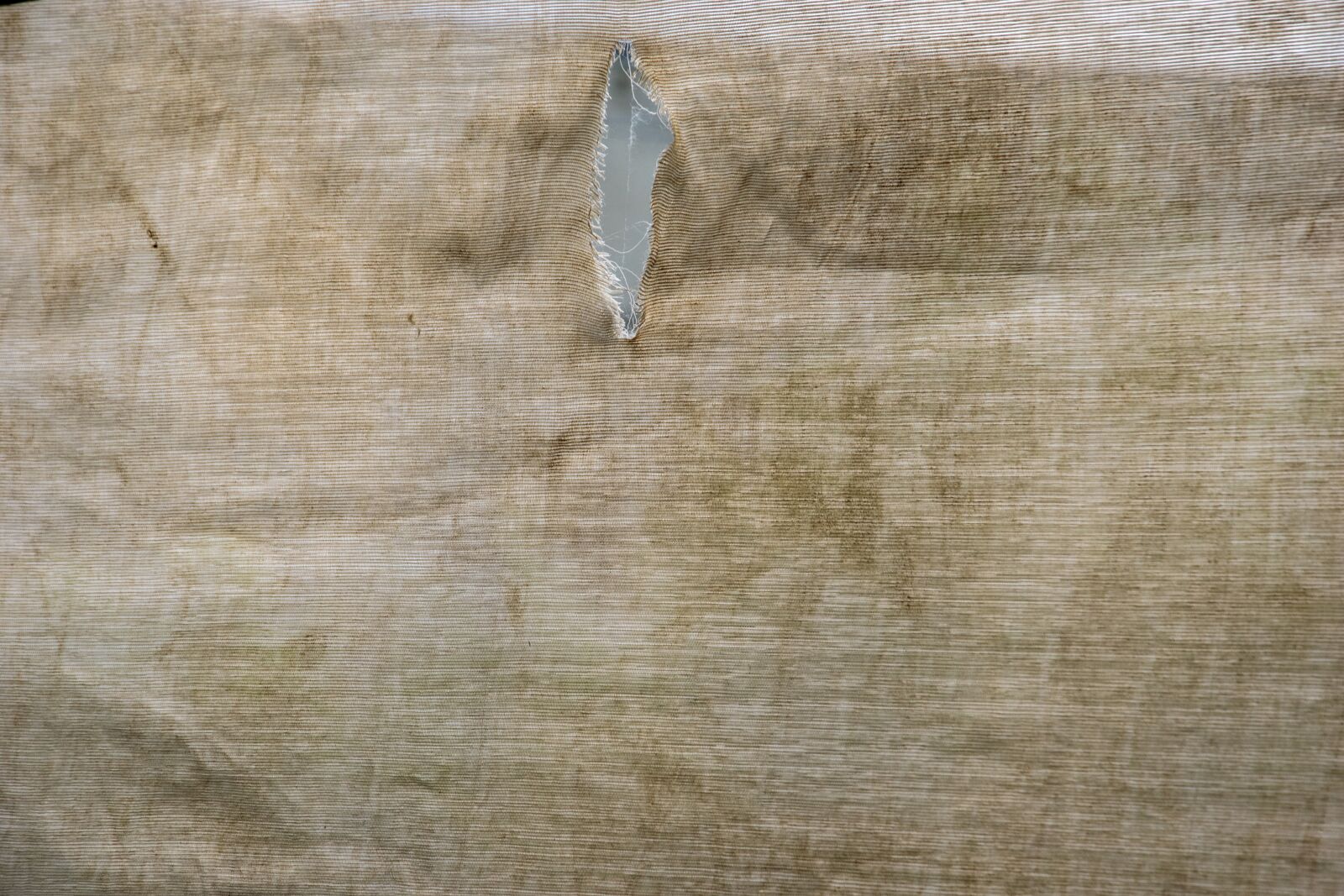 Nikon D5300 sample photo. Crack, cracked, texture photography
