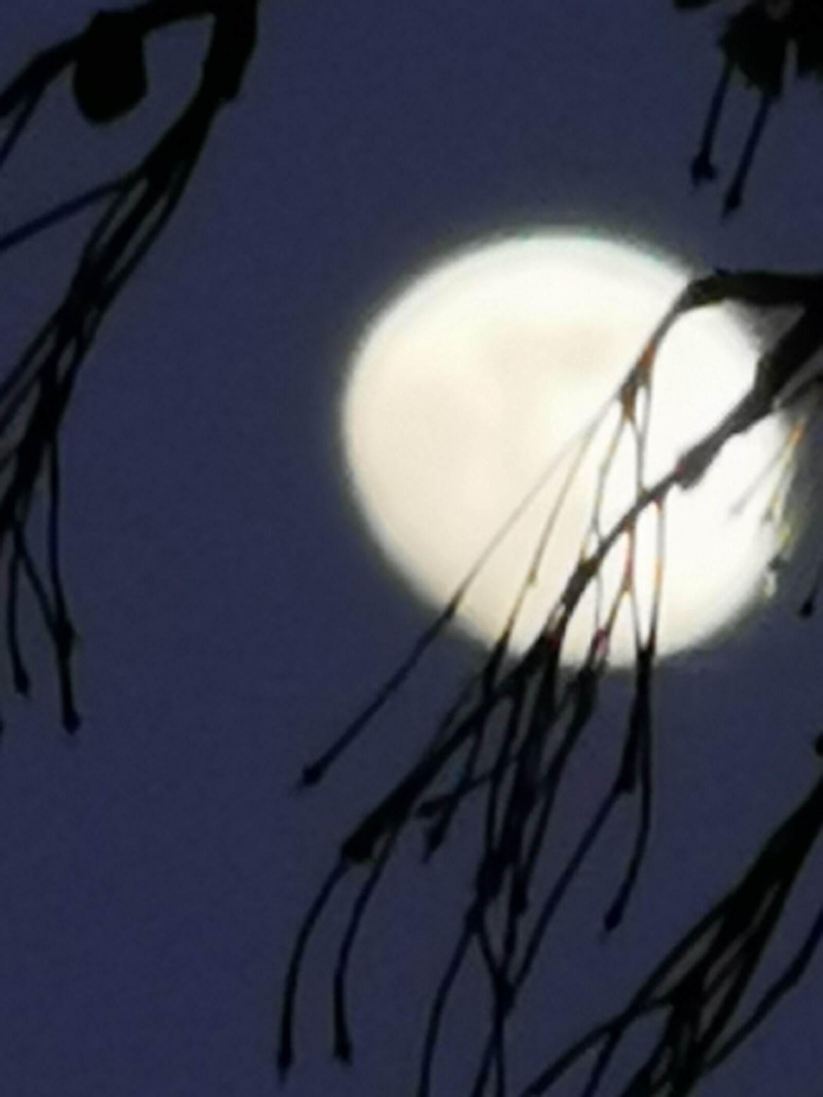 HUAWEI P30 Pro sample photo. Full moon, mystical, night photography