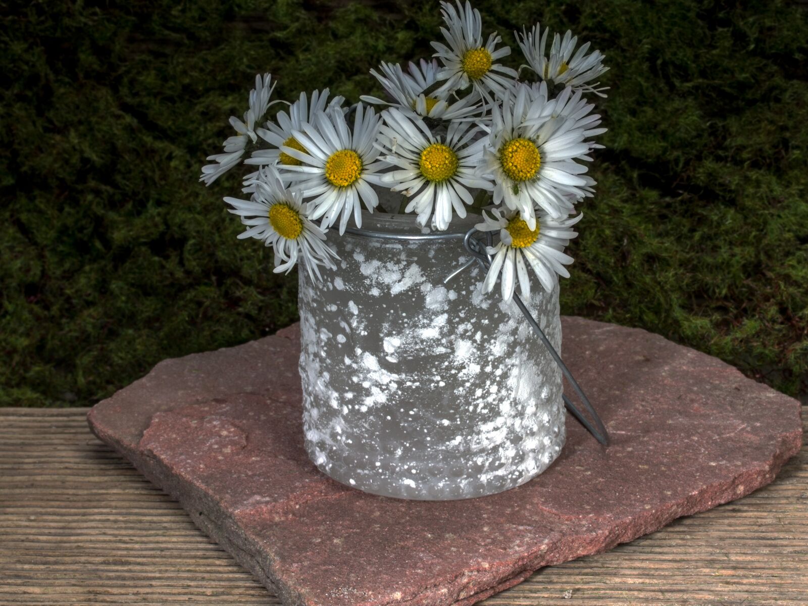 Canon EF-S 60mm F2.8 Macro USM sample photo. Flowers, still life, daisy photography