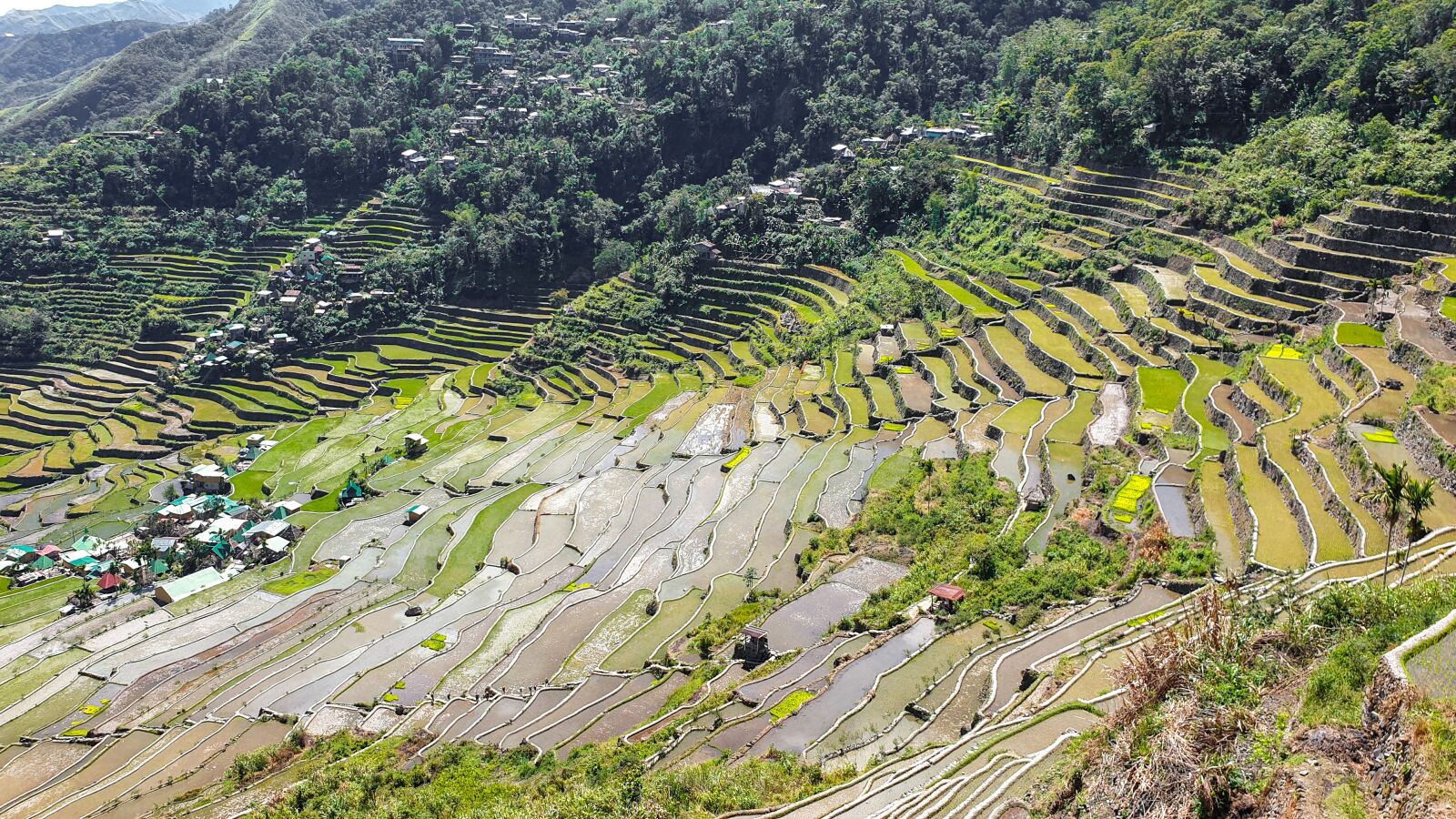 Samsung Galaxy S9 Rear Camera sample photo. Rice, terraces, philippines photography