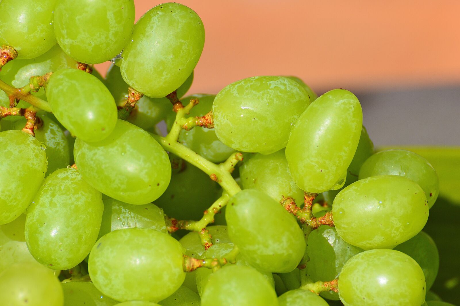 Nikon D3200 sample photo. Grapes, fruits, healthy photography