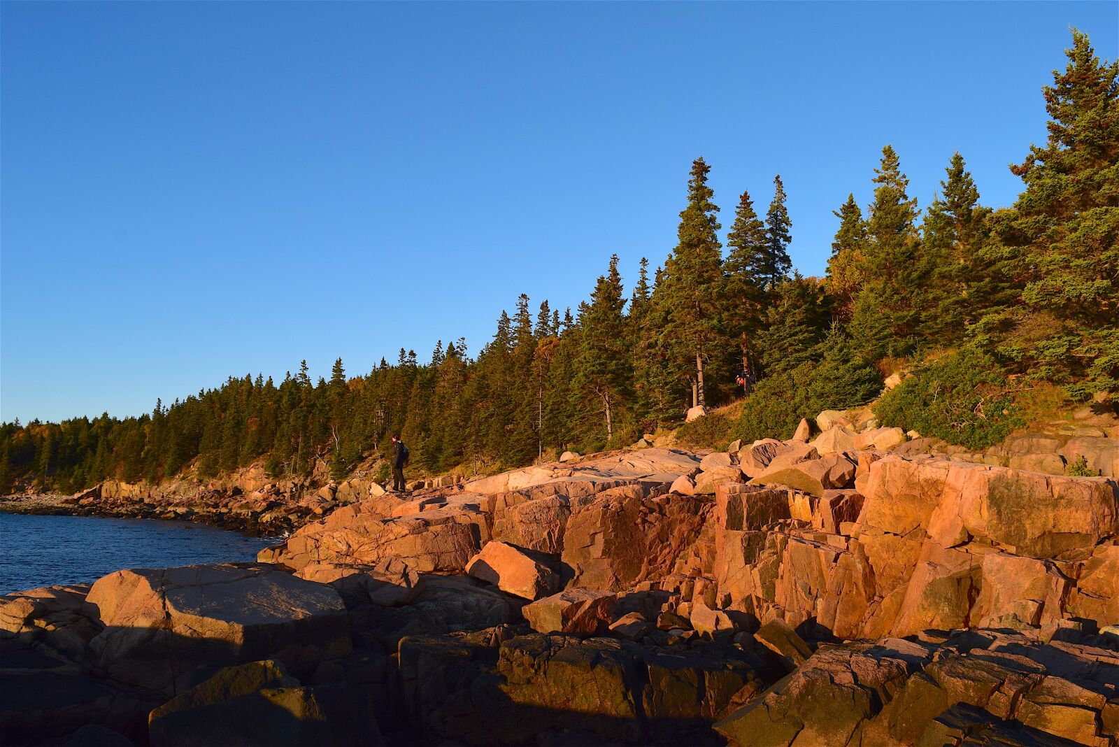 Nikon D3300 sample photo. Sunset, trees, rocks photography