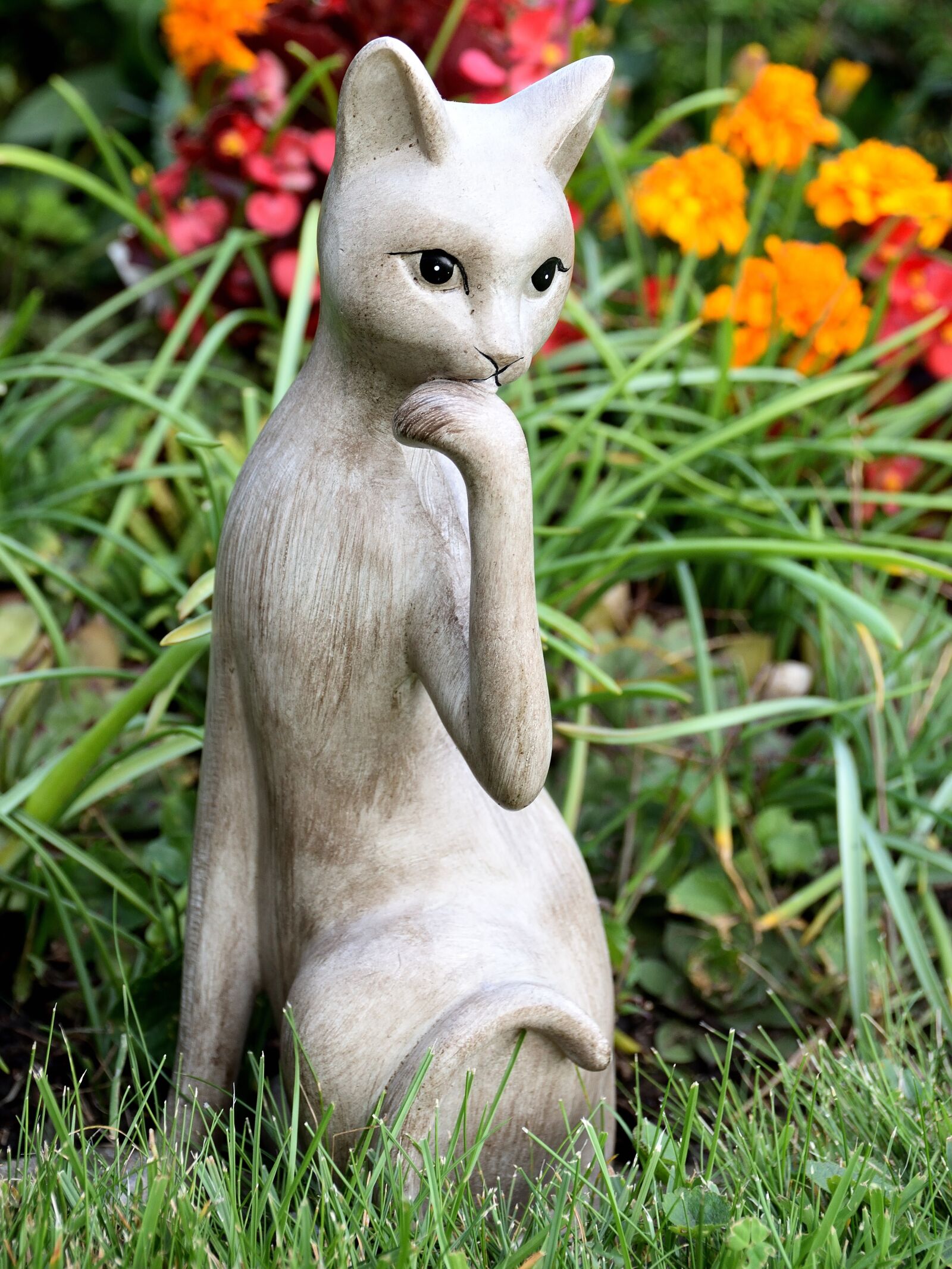 Nikon D5500 sample photo. Cat, figure, decoration photography