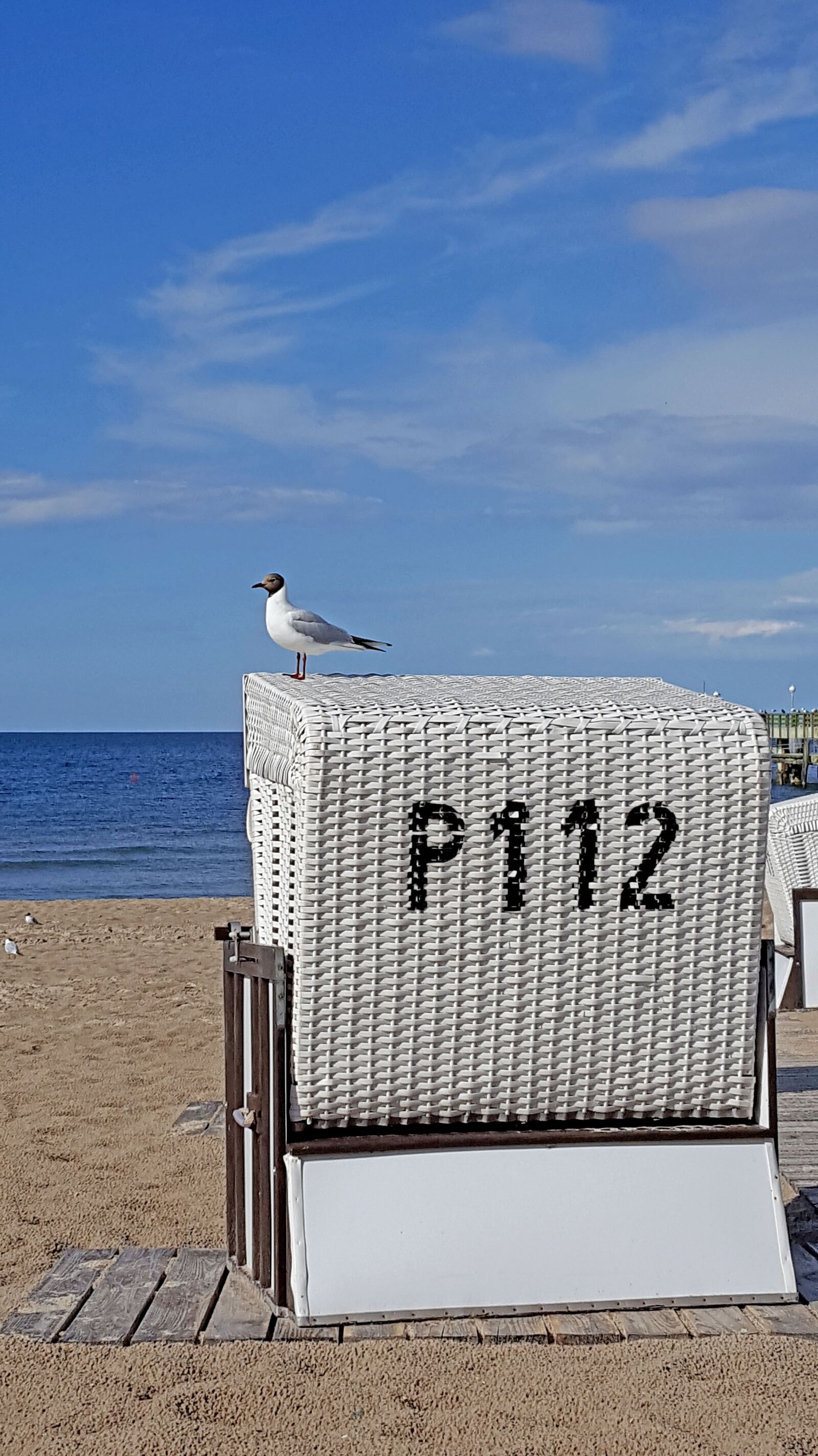 Samsung Galaxy S6 sample photo. Beach chair, baltic sea photography