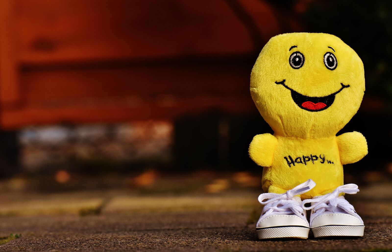 Nikon D7200 sample photo. Smiley, laugh, sneakers photography