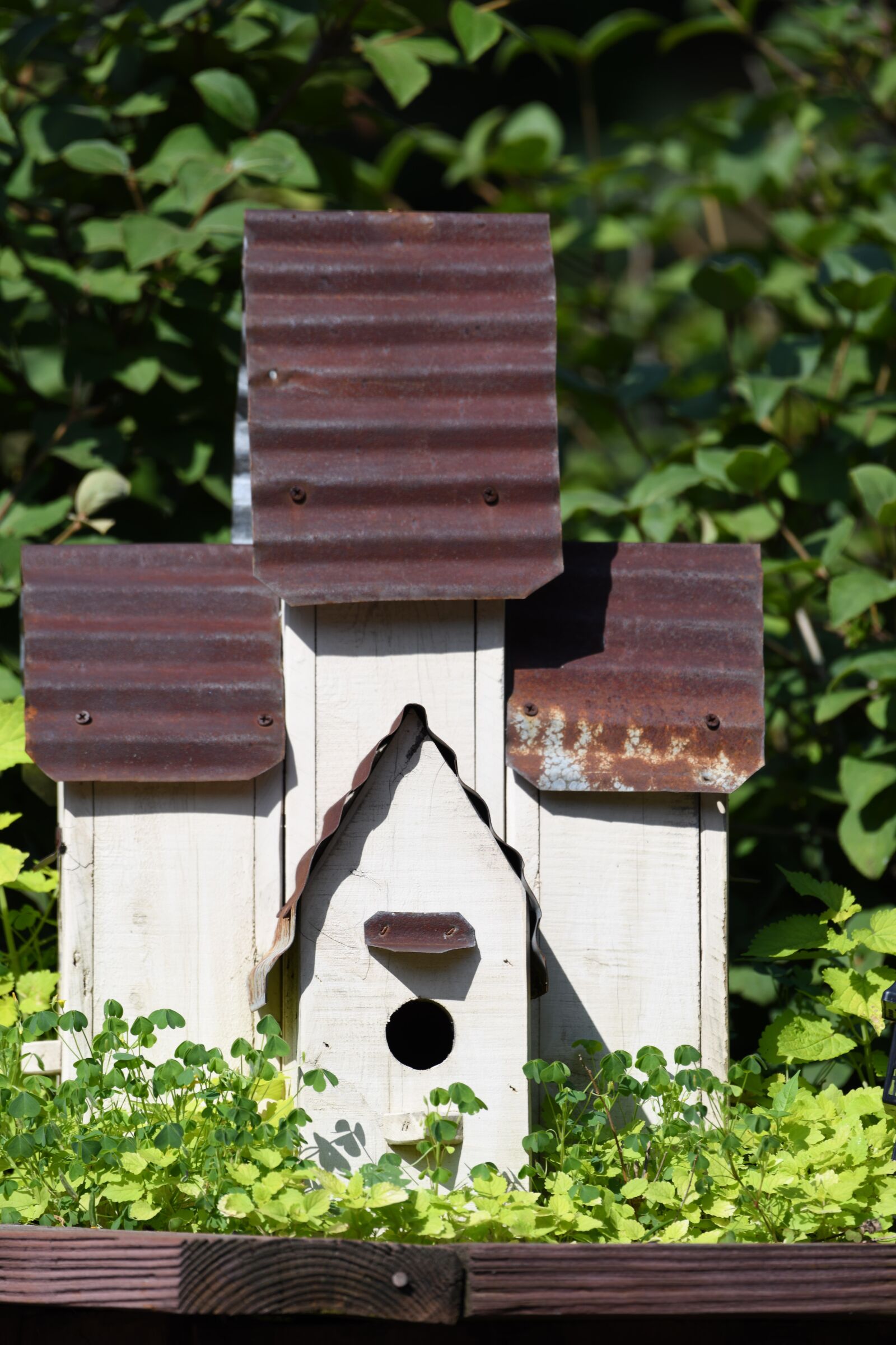Nikon D850 sample photo. Birdhouse, church, rustic photography