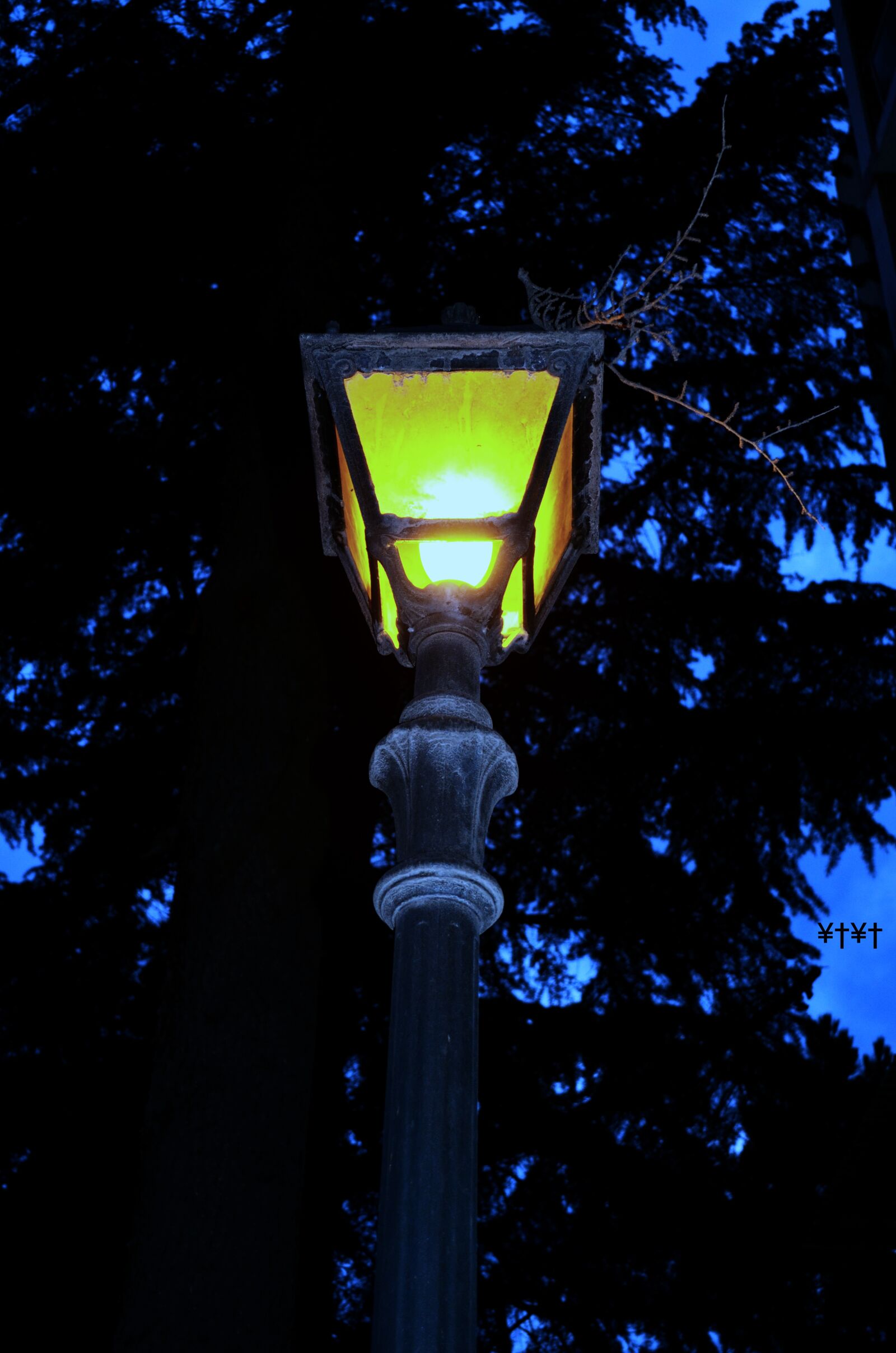 Nikon D5100 sample photo