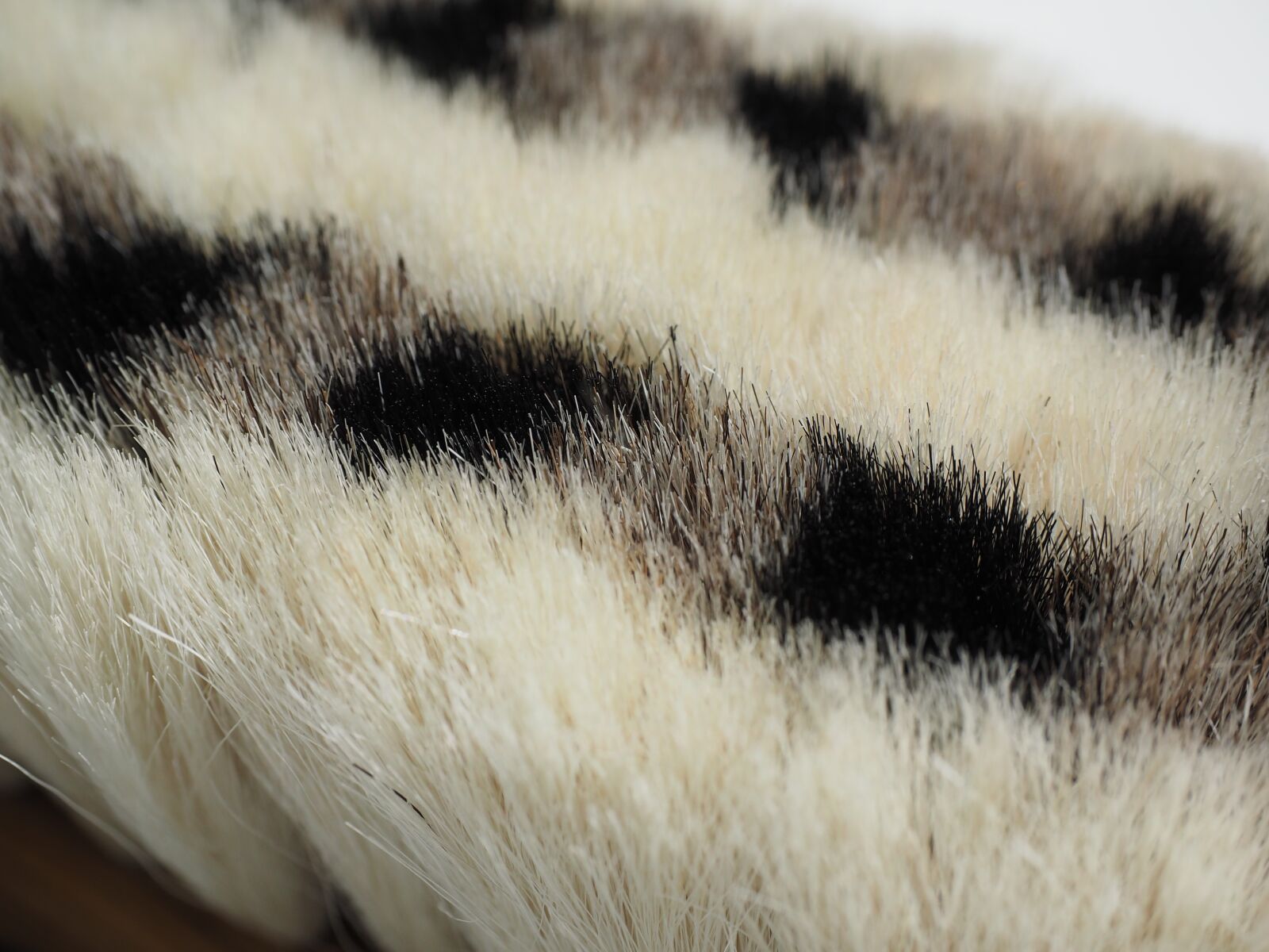 Olympus OM-D E-M1 + Olympus M.Zuiko Digital ED 12-40mm F2.8 Pro sample photo. Brush, goat hair brush photography