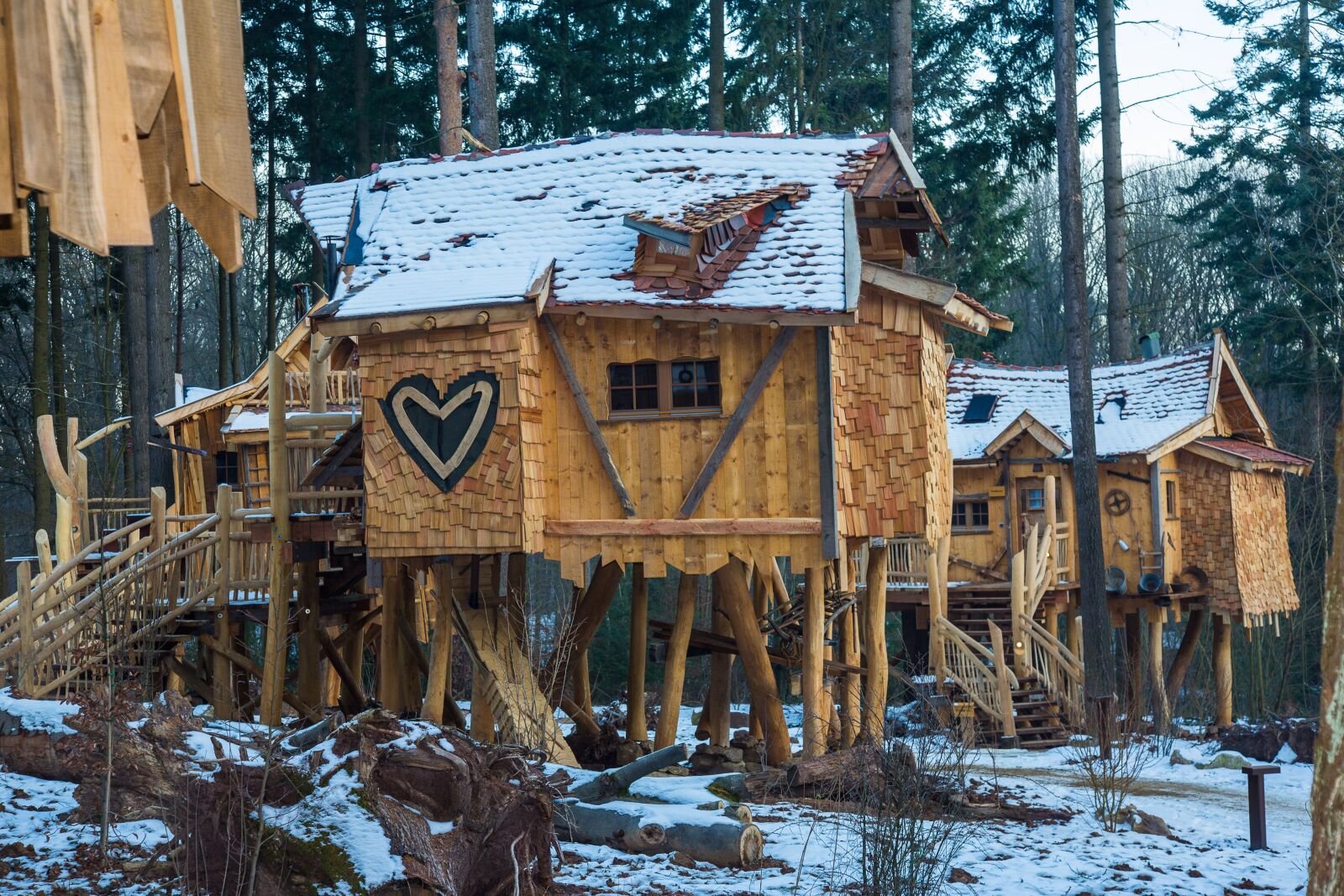 Canon EF 24-105mm F4L IS USM sample photo. Woodhouse, treehouse, tree hut photography