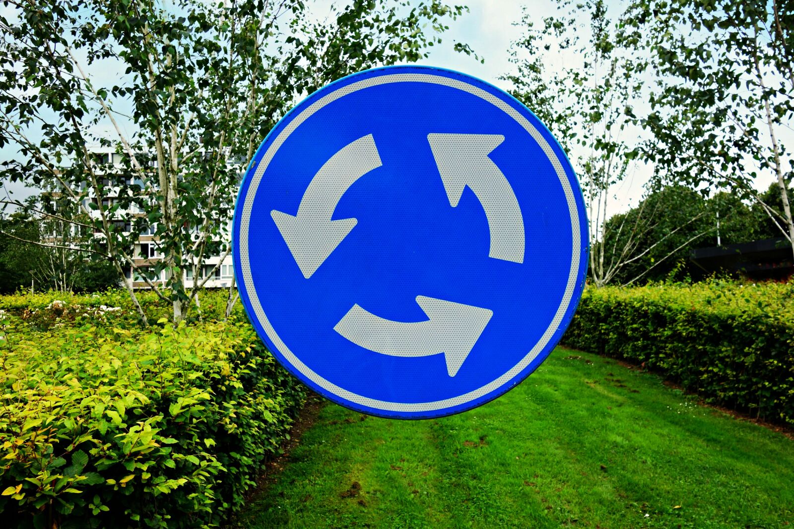 Sony Cyber-shot DSC-RX100 sample photo. Roundabout, traffic sign, arrow photography