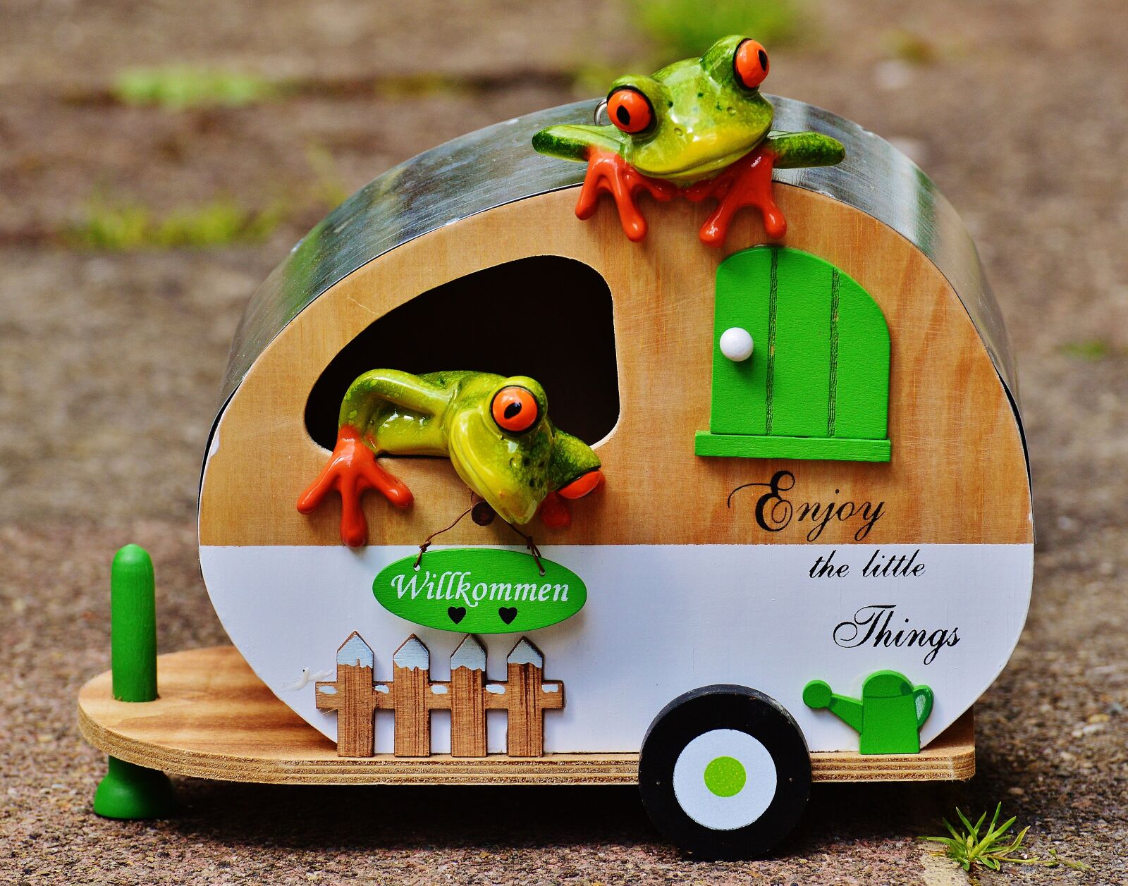Nikon D3200 sample photo. Frogs, caravan, funny photography