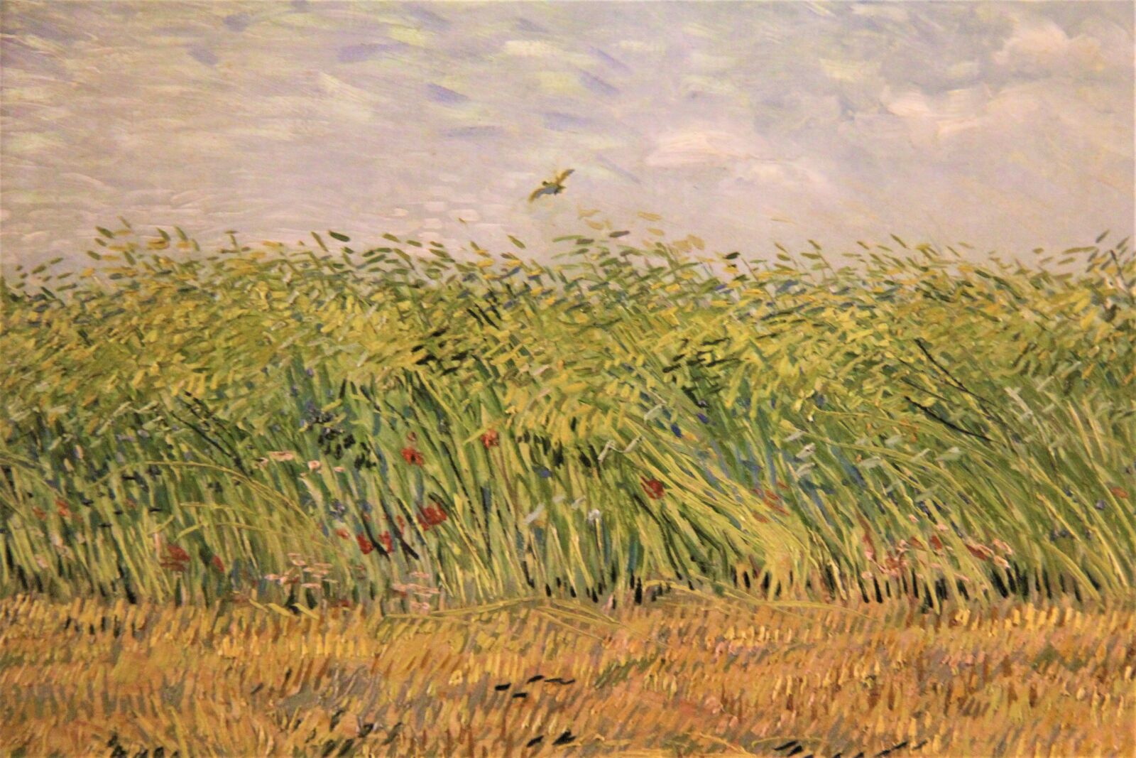 Canon EOS 550D (EOS Rebel T2i / EOS Kiss X4) sample photo. Art, impressionism, painting photography