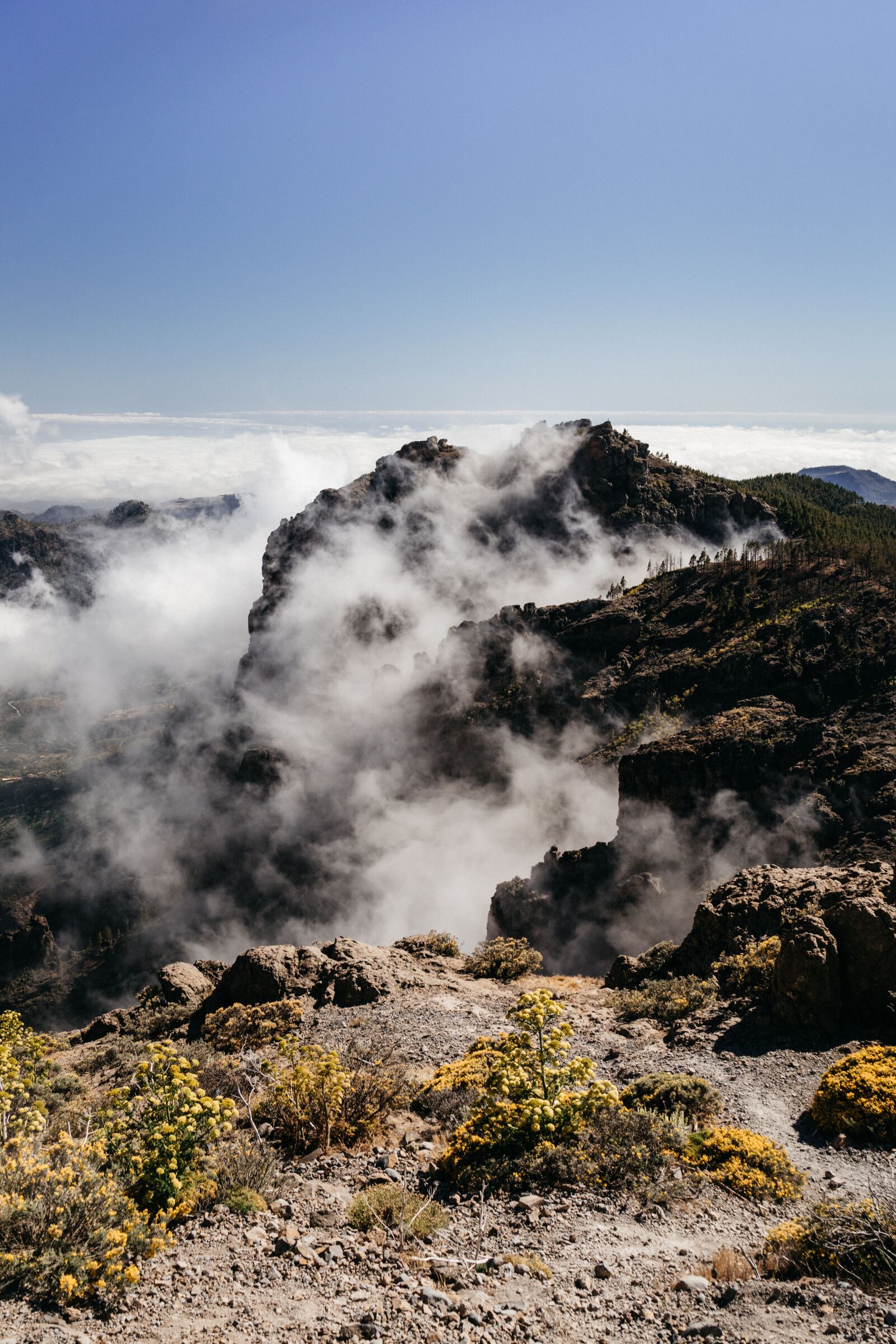 Sony a7 II + Sony Vario Tessar T* FE 24-70mm F4 ZA OSS sample photo. Gran canaria, spain, travel photography