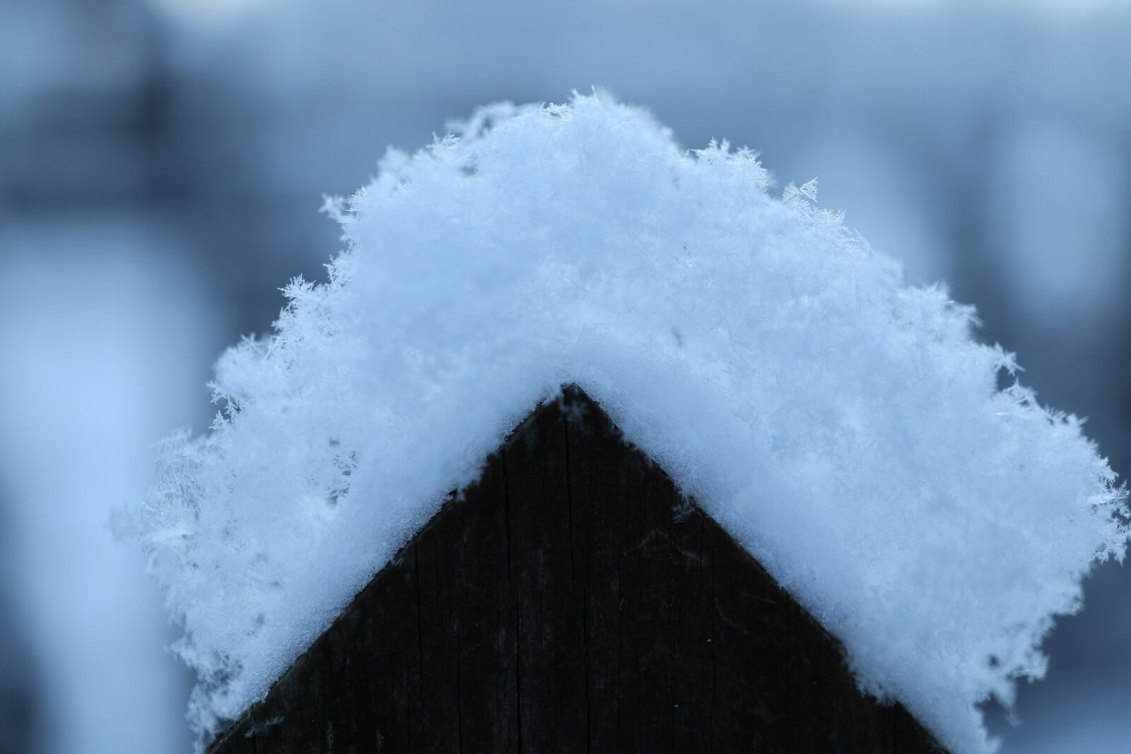 Canon EOS M5 sample photo. Winter, snow, frost photography