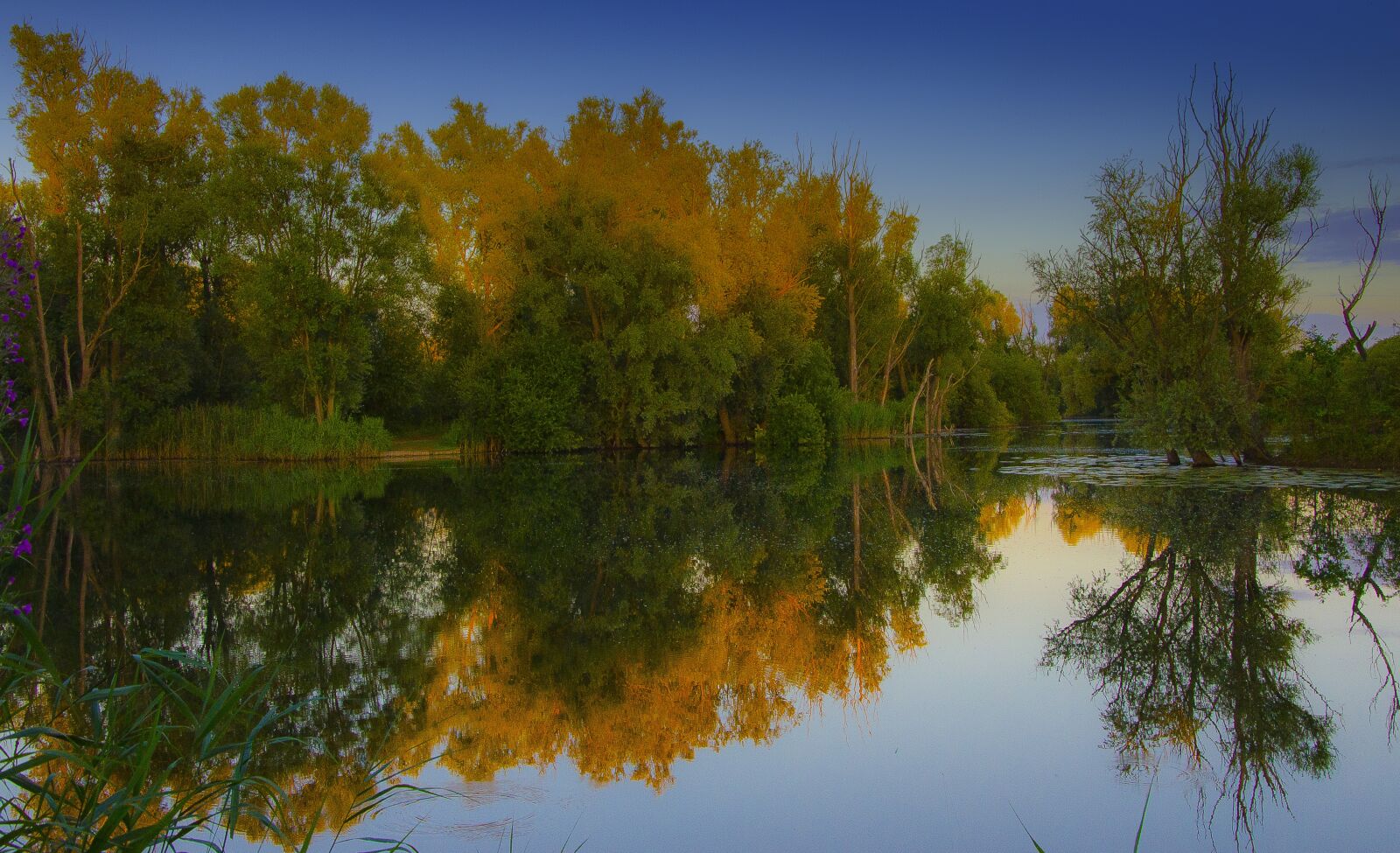 Nikon D7000 sample photo. Trees, reflection, landscape photography