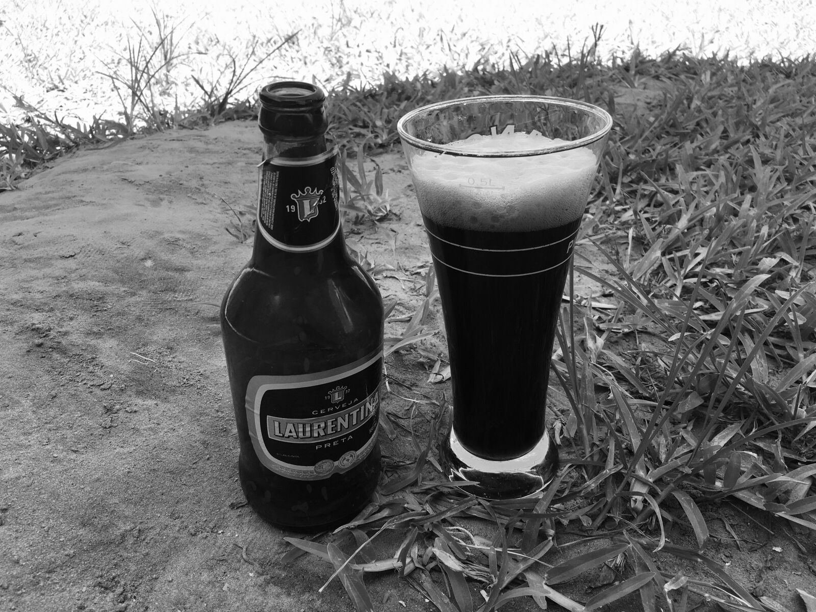 iPhone 6s Plus back camera 4.15mm f/2.2 sample photo. Beer, black, cup photography