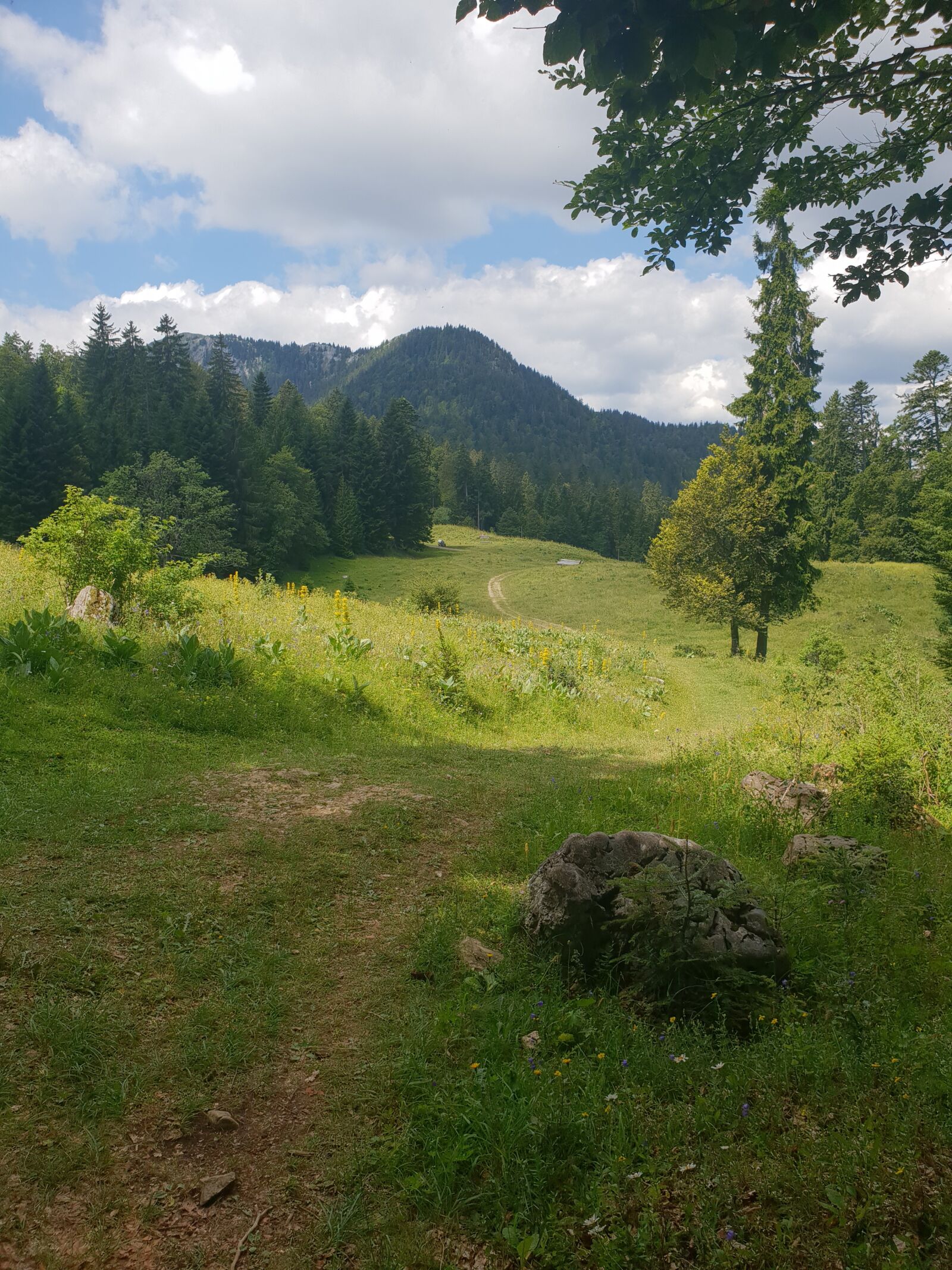 Samsung Galaxy S9 sample photo. Switzerland, mountain, nature photography
