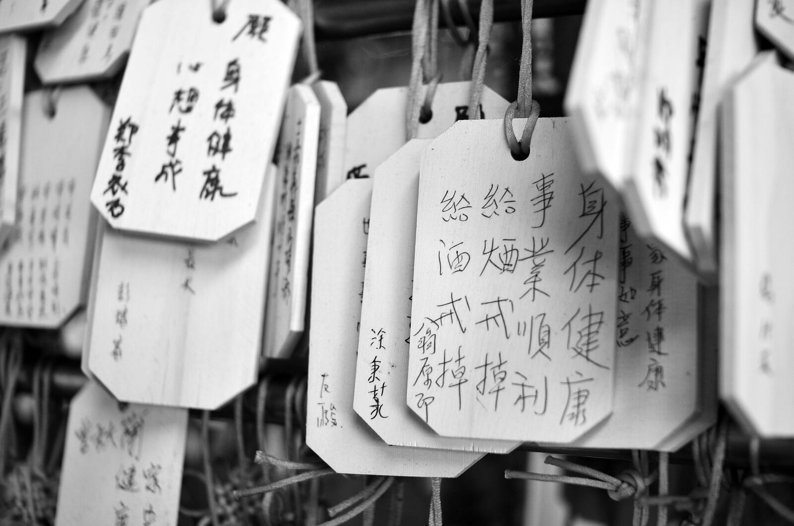 Nikon D7000 sample photo