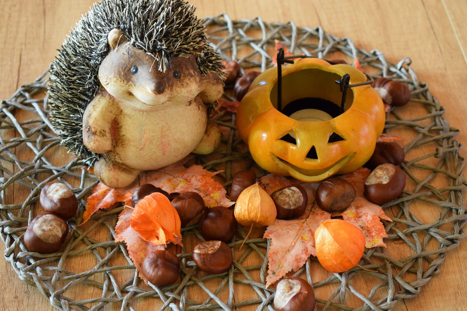 Nikon D5300 sample photo. Autumn, hedgehog, halloween photography