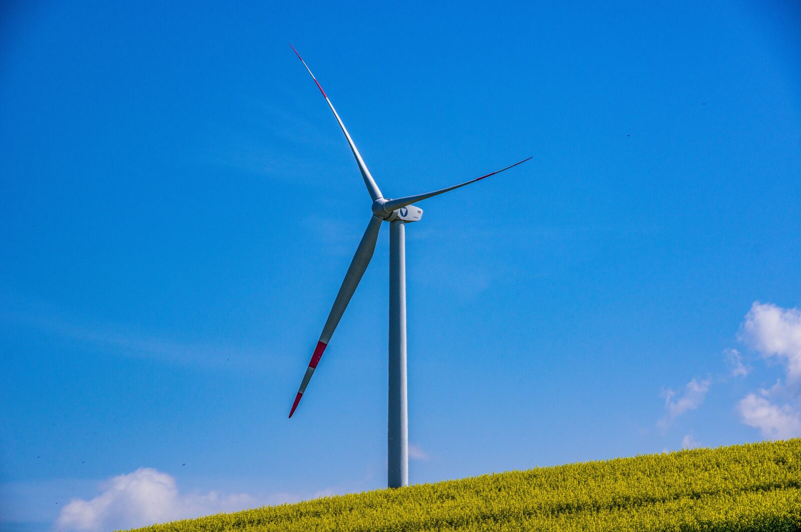 Sony SLT-A55 (SLT-A55V) sample photo. Pinwheel, current, wind power photography