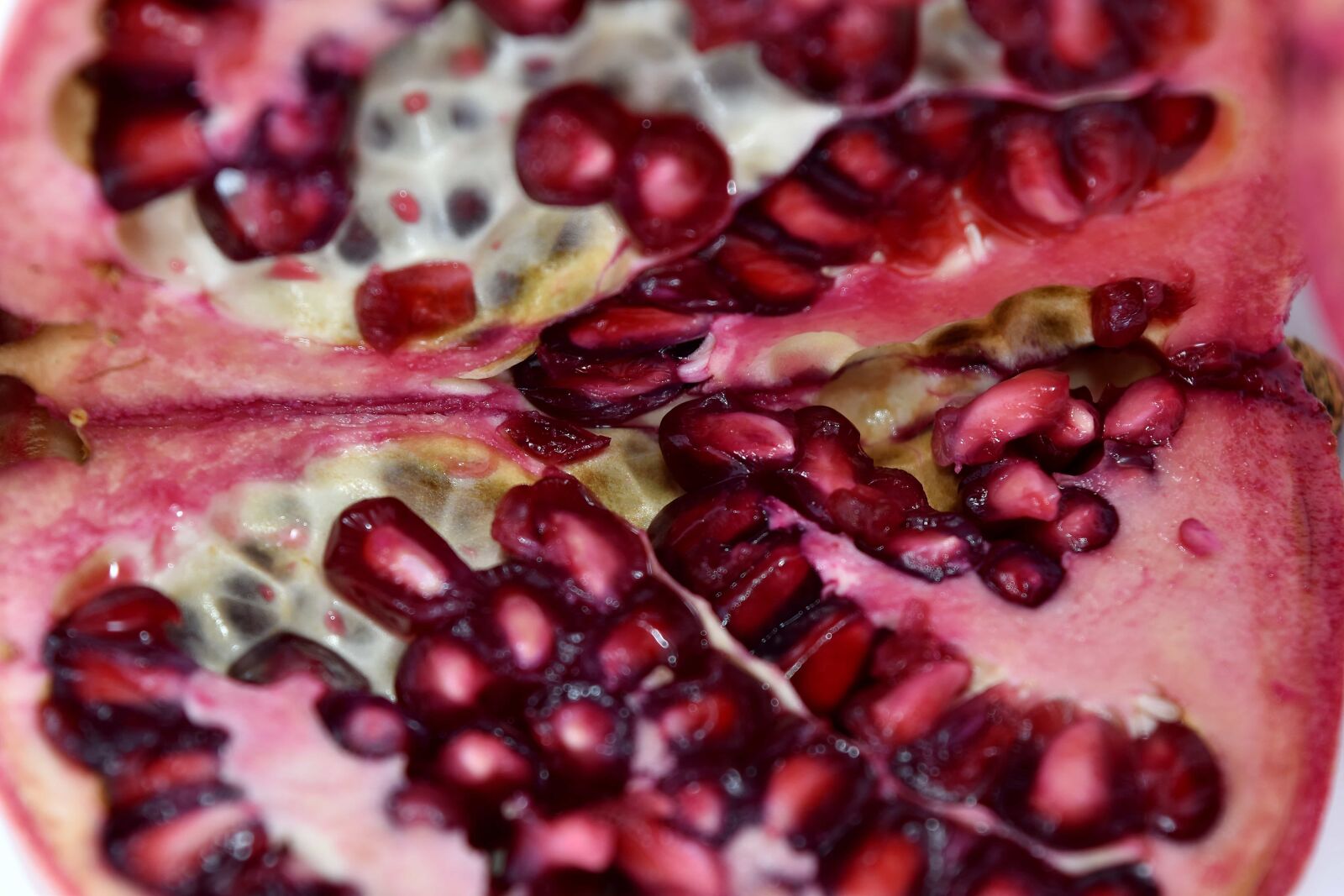 Nikon D5500 sample photo. Close-up, fruit, kernel, macro photography