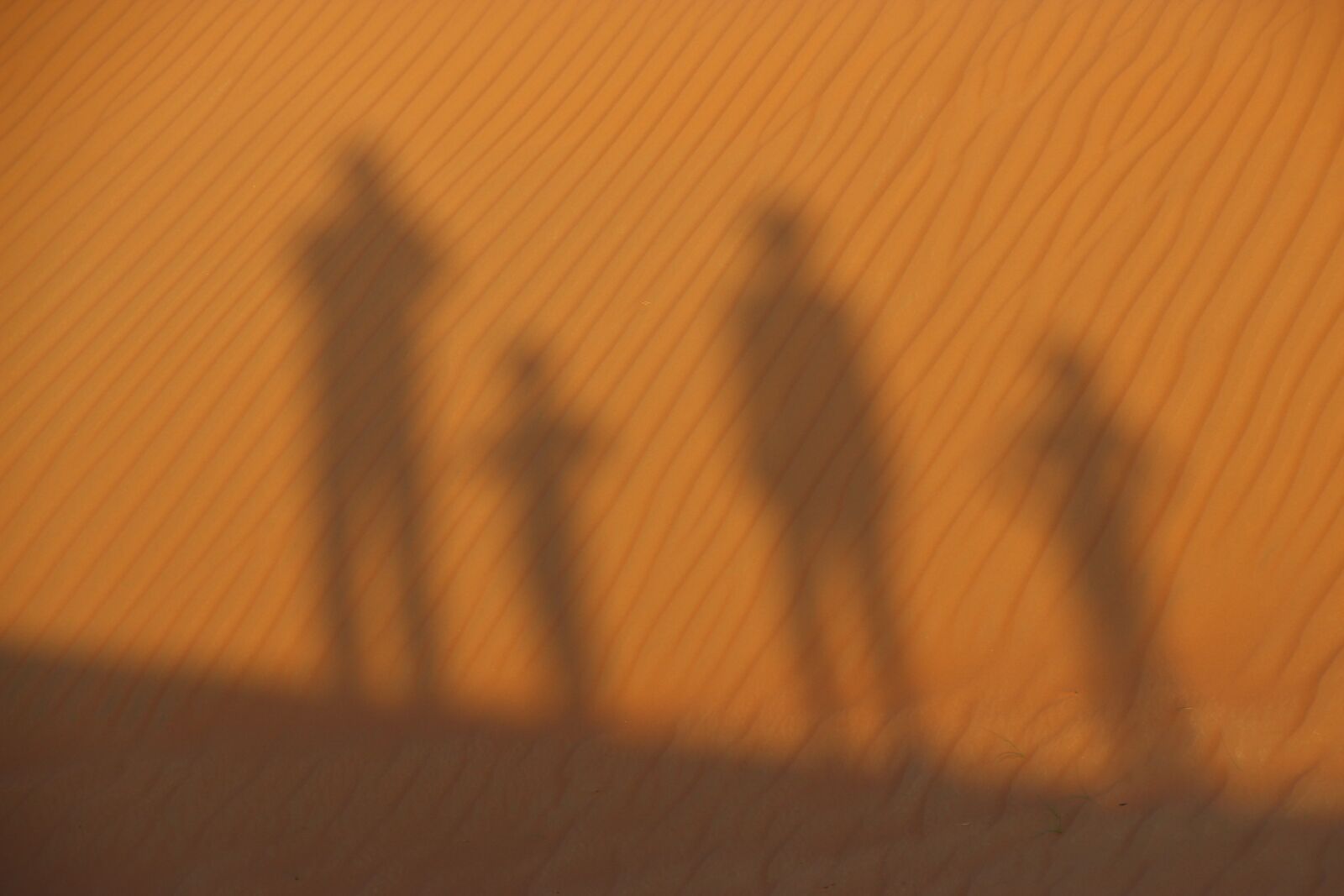 Canon EOS 600D (Rebel EOS T3i / EOS Kiss X5) sample photo. Desert, sand, silhuette photography