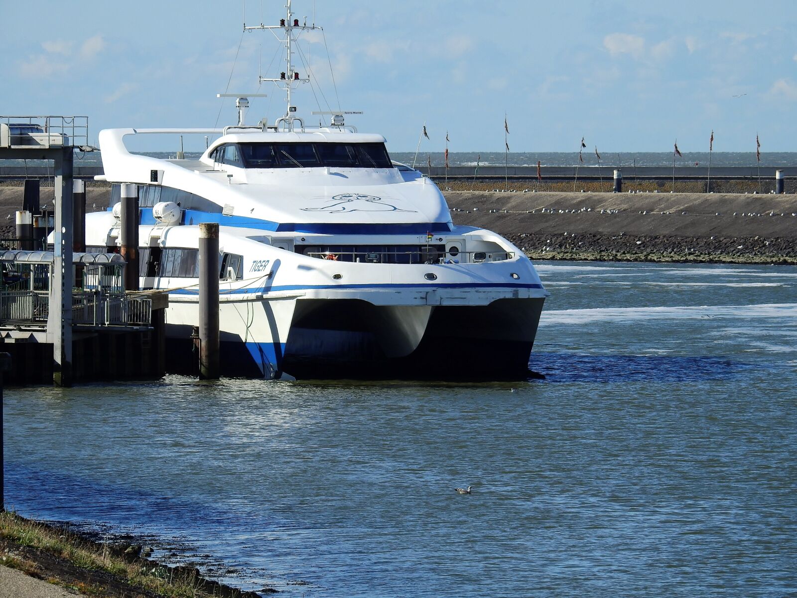 Nikon Coolpix P900 sample photo. Ferry, ship, speedboat photography