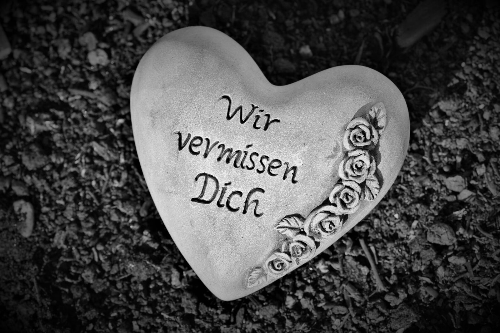 Nikon D7200 sample photo. Heart, mourning, pain photography