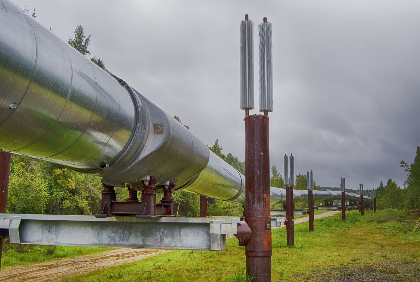 Nikon D5100 sample photo. Pipeline, alaska, engineering photography
