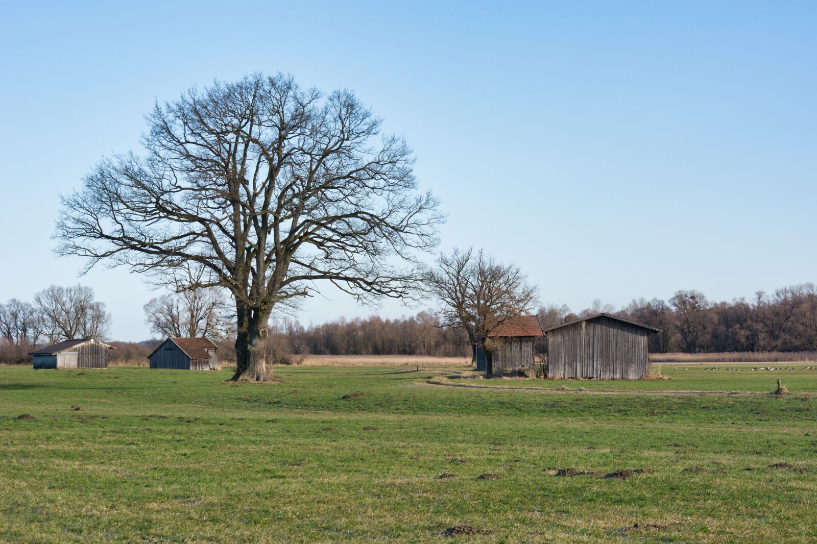 Nikon D7100 sample photo. Tree, hut, barn photography