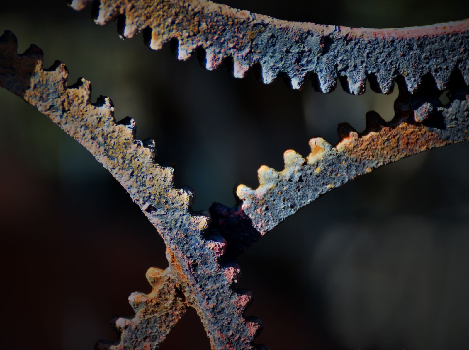 Nikon D7000 sample photo. Rust, rusty, beauty photography