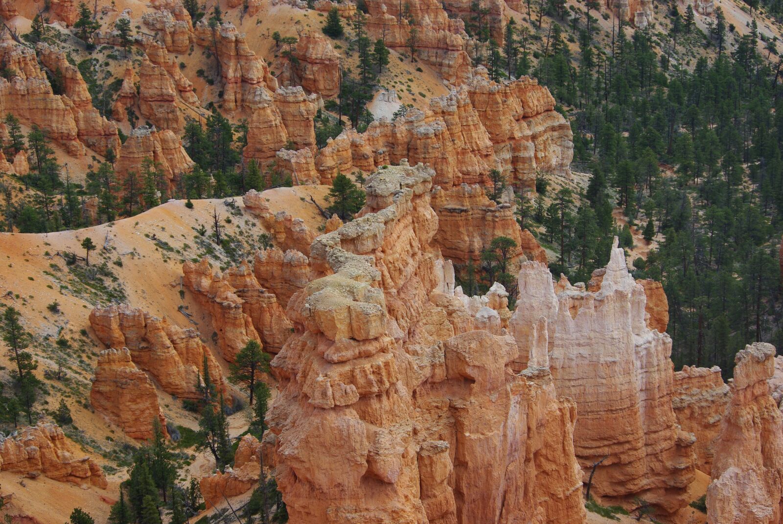 Pentax K200D sample photo. Bryce canyon, utah, landscape photography