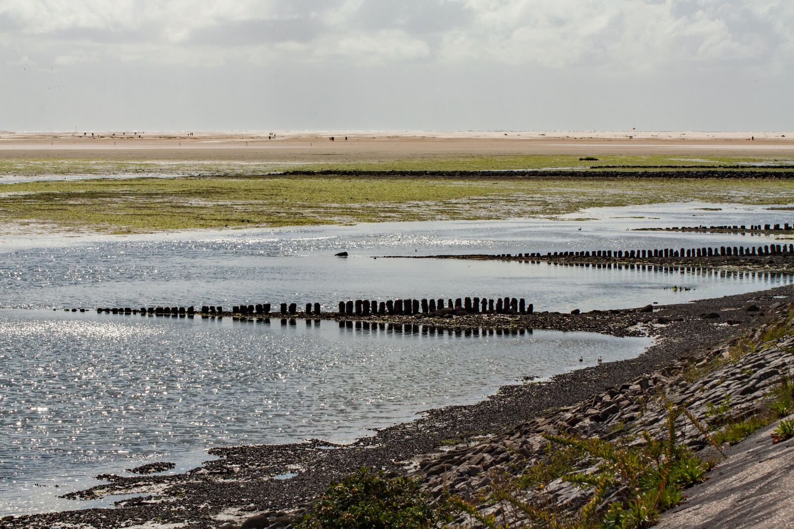 Canon EOS 450D (EOS Rebel XSi / EOS Kiss X2) sample photo. Amrum, island, north sea photography