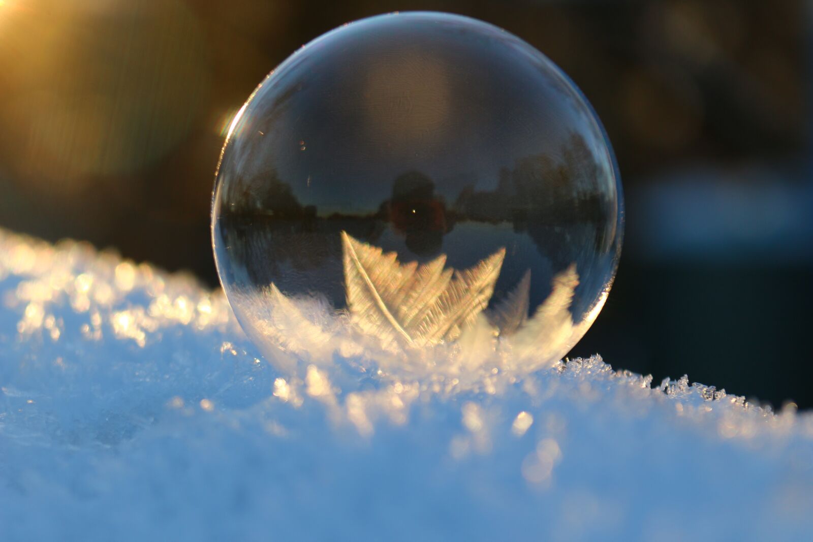 Canon EOS 100D (EOS Rebel SL1 / EOS Kiss X7) sample photo. Soap bubble, crystals, winter photography