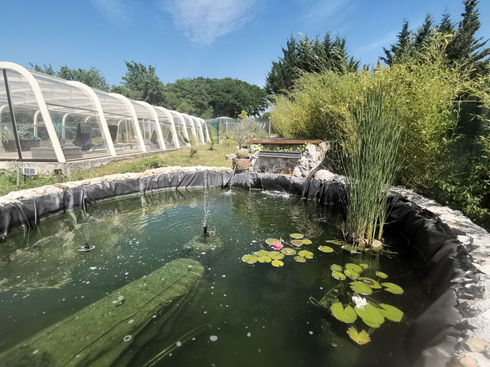 HUAWEI LYA-L29 sample photo. Basin, water lilies, water photography