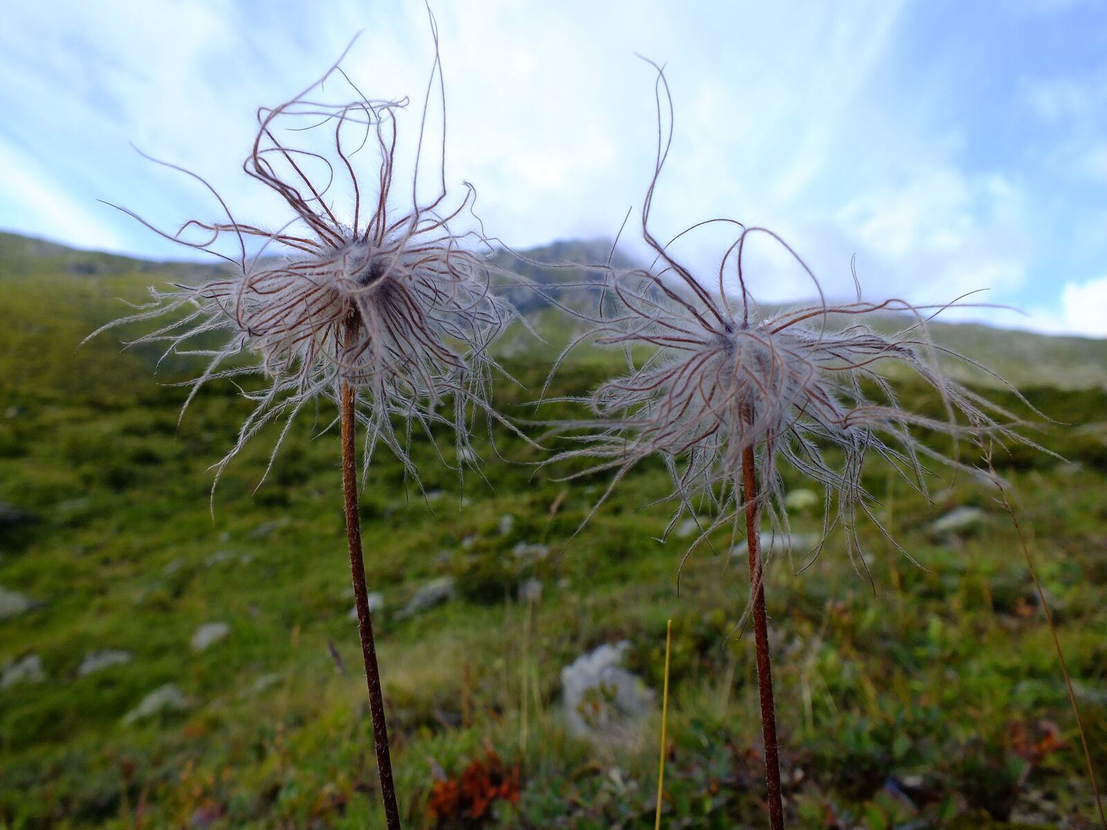FujiFilm FinePix HS20 EXR (FinePix HS22 EXR) sample photo. Mountain lumen, grantigajaga, mountains photography