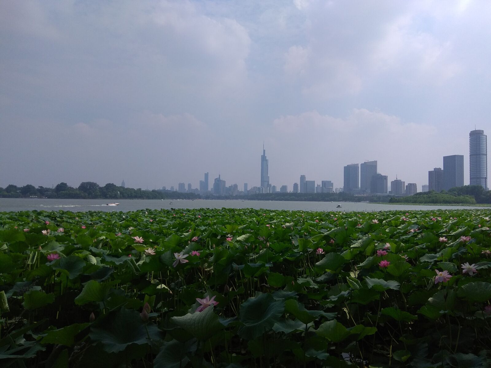 Xiaomi Redmi Note 4X sample photo. Xuanwu lake, lake, nanjing photography