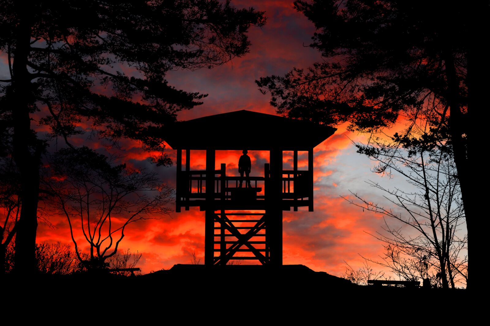 Canon PowerShot G1 X Mark III sample photo. Sunset, nature, trees photography
