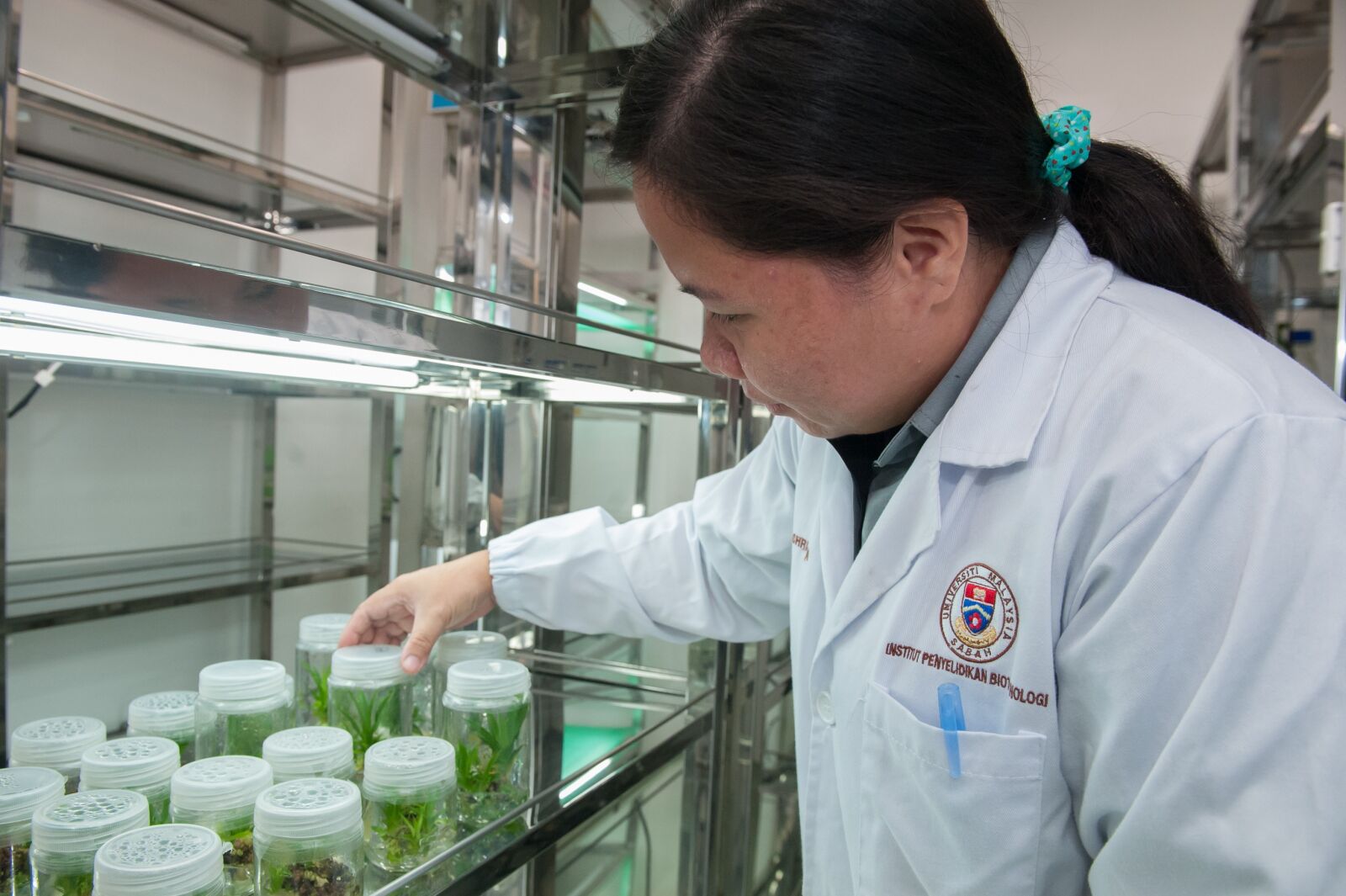 Nikon D700 sample photo. Plant tissue culture facility photography