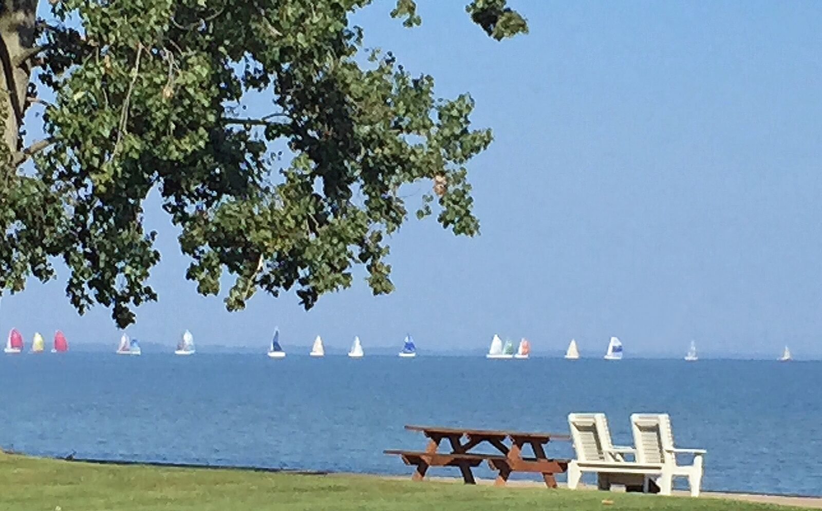 Apple iPhone 6 Plus sample photo. Sail boats, water, sailing photography