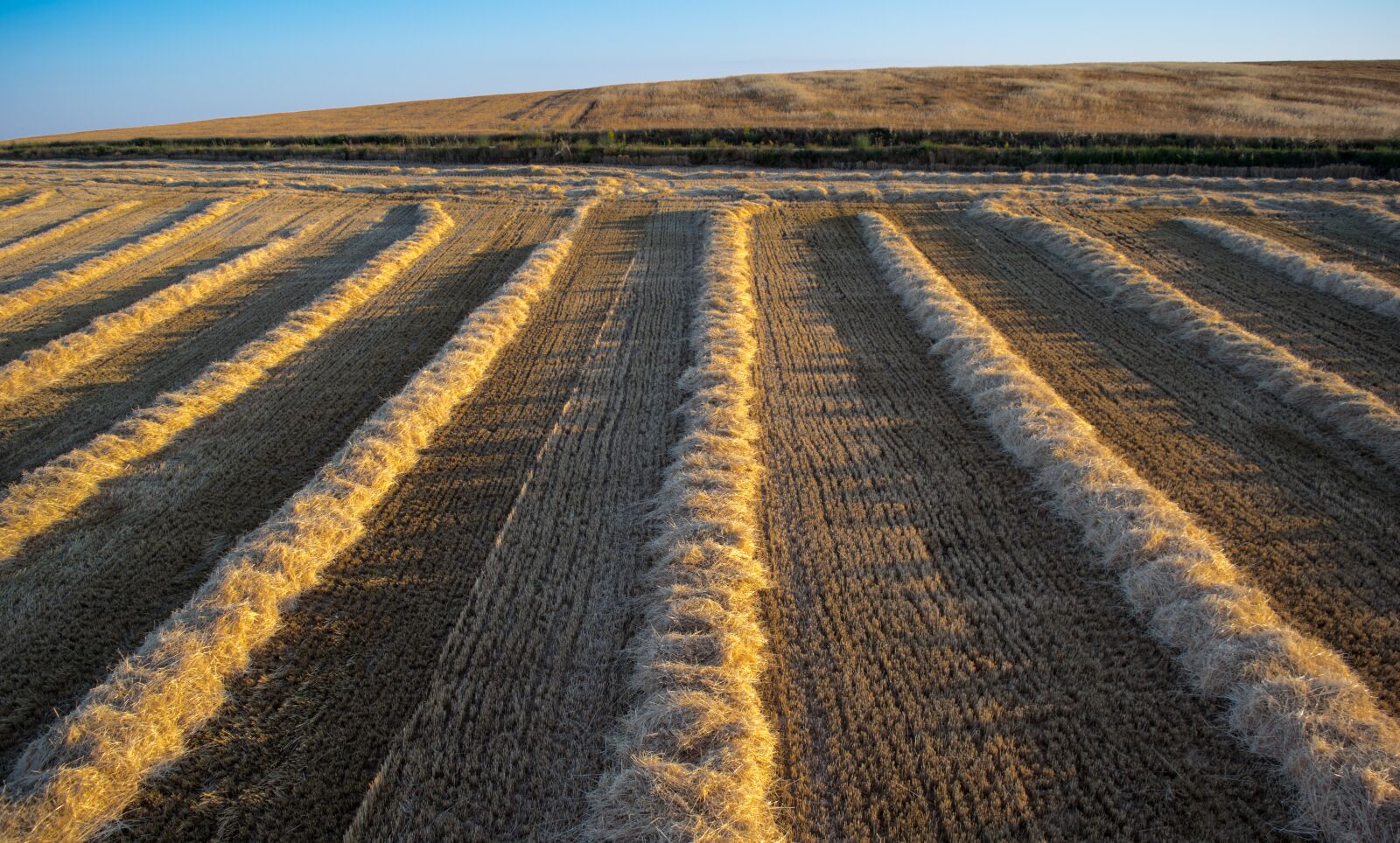Nikon D5300 sample photo. Plow, fields, grooves photography