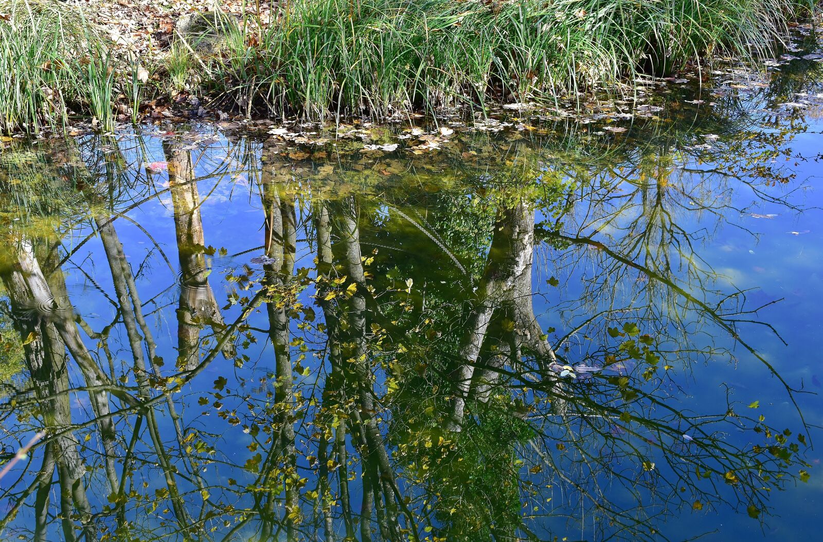 Nikon D7200 sample photo. Water, mirroring, river photography