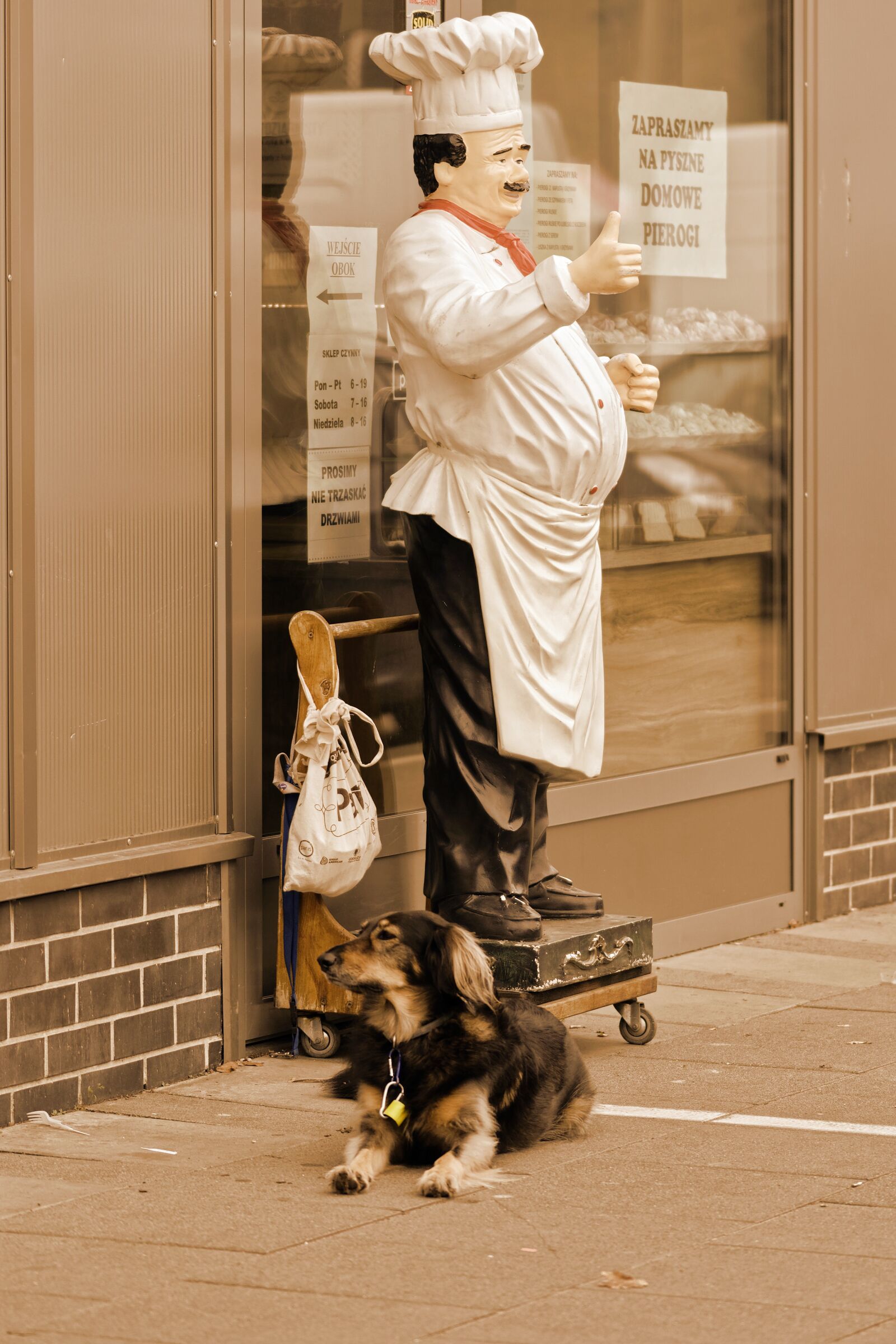 Nikon D5100 sample photo. Model, cook, the white photography
