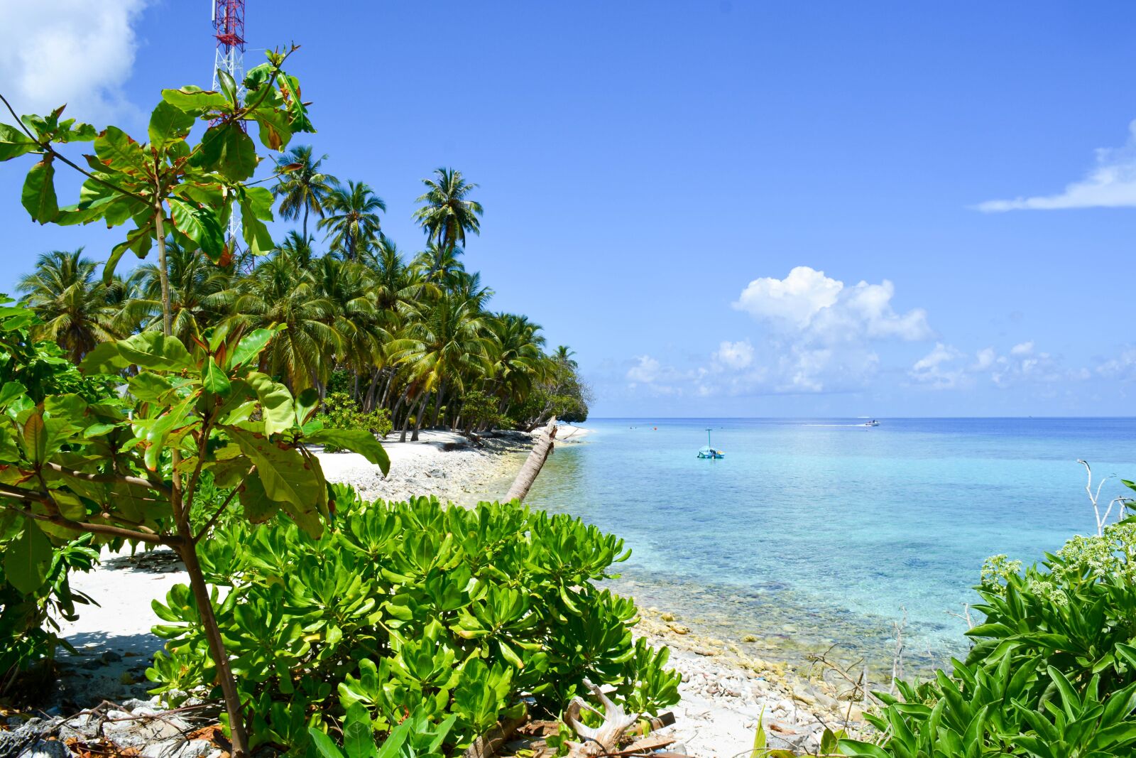 Nikon D5200 sample photo. Beach, palm trees, seascape photography