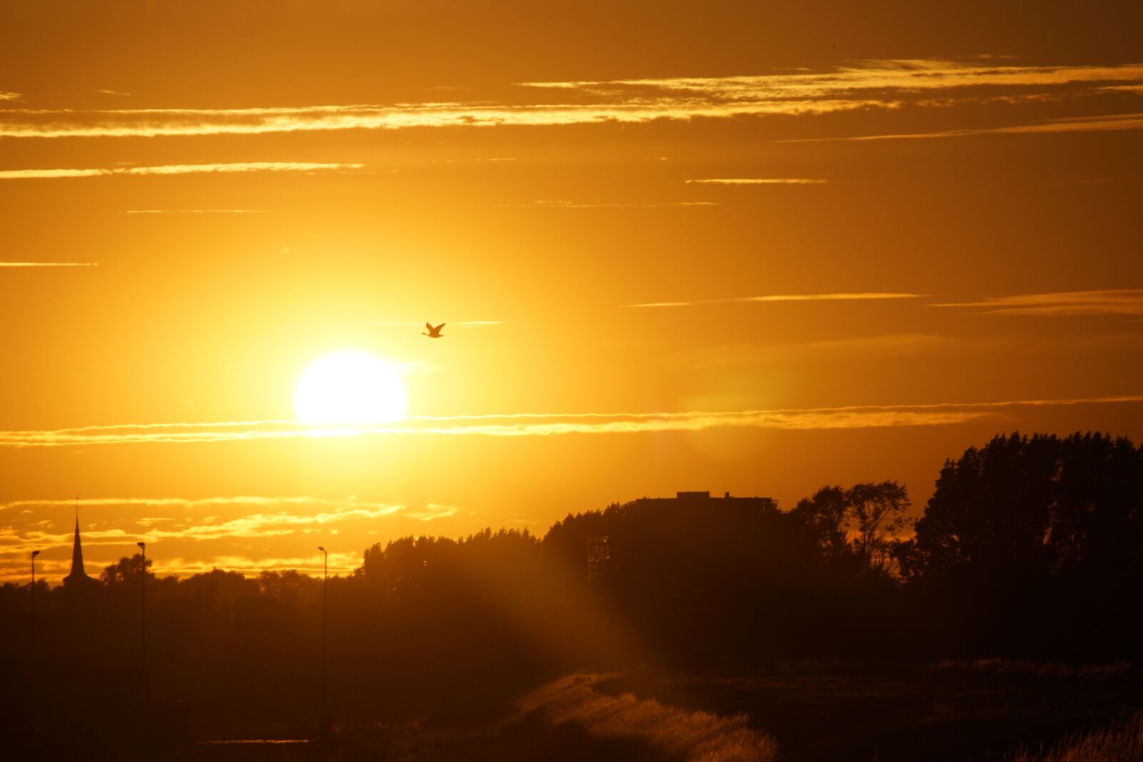 Sony DT 18-250mm F3.5-6.3 sample photo. Sun, sunset, evening photography