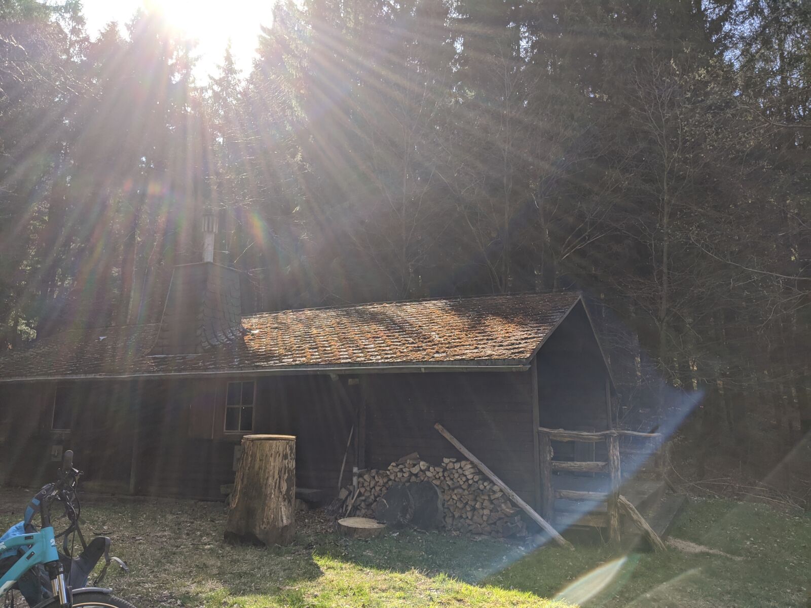 Google Pixel 3a sample photo. Hut, forest, sunbeam photography